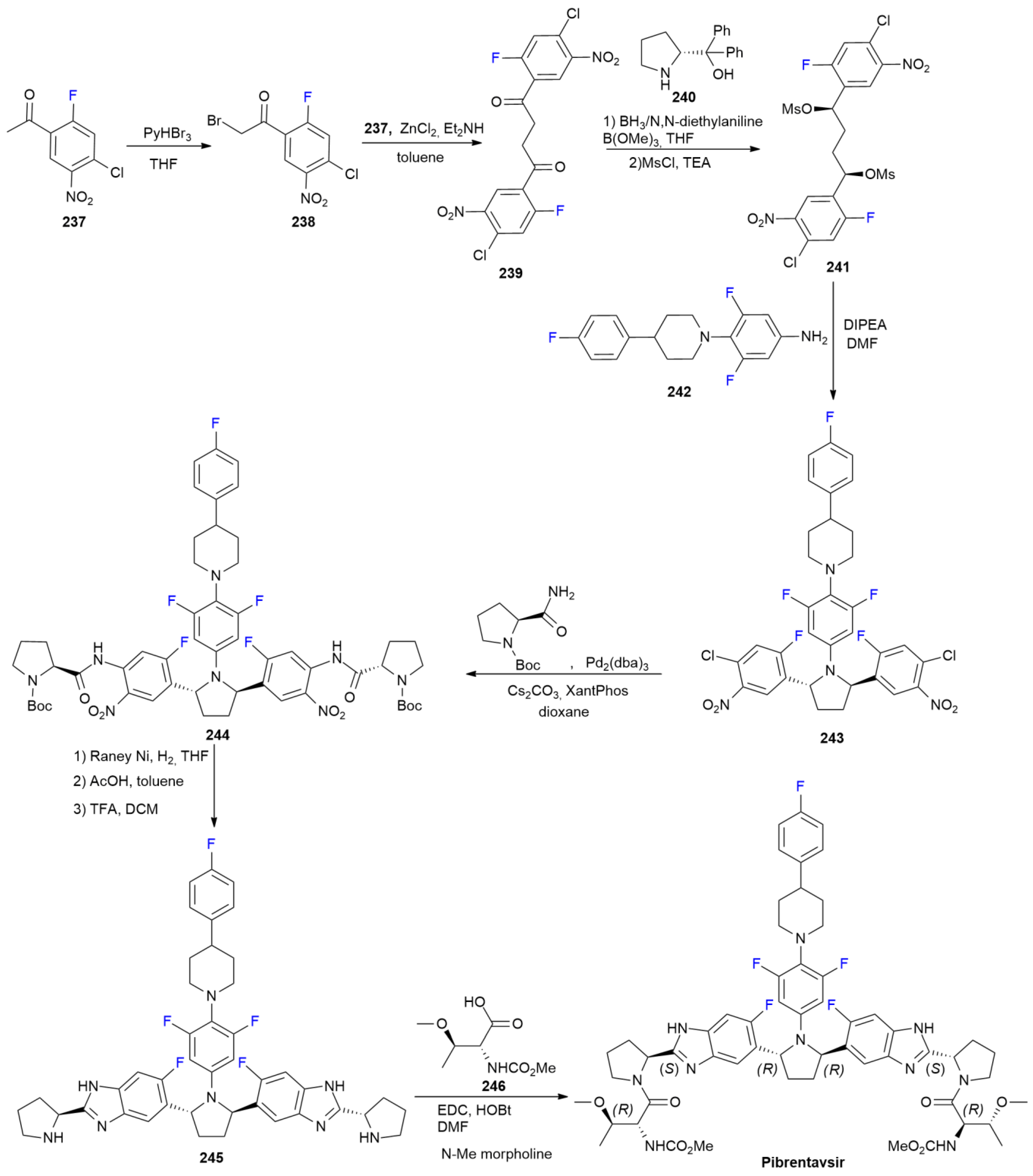 Ijms 24 07728 sch031 Ijms 24 07728 sch031