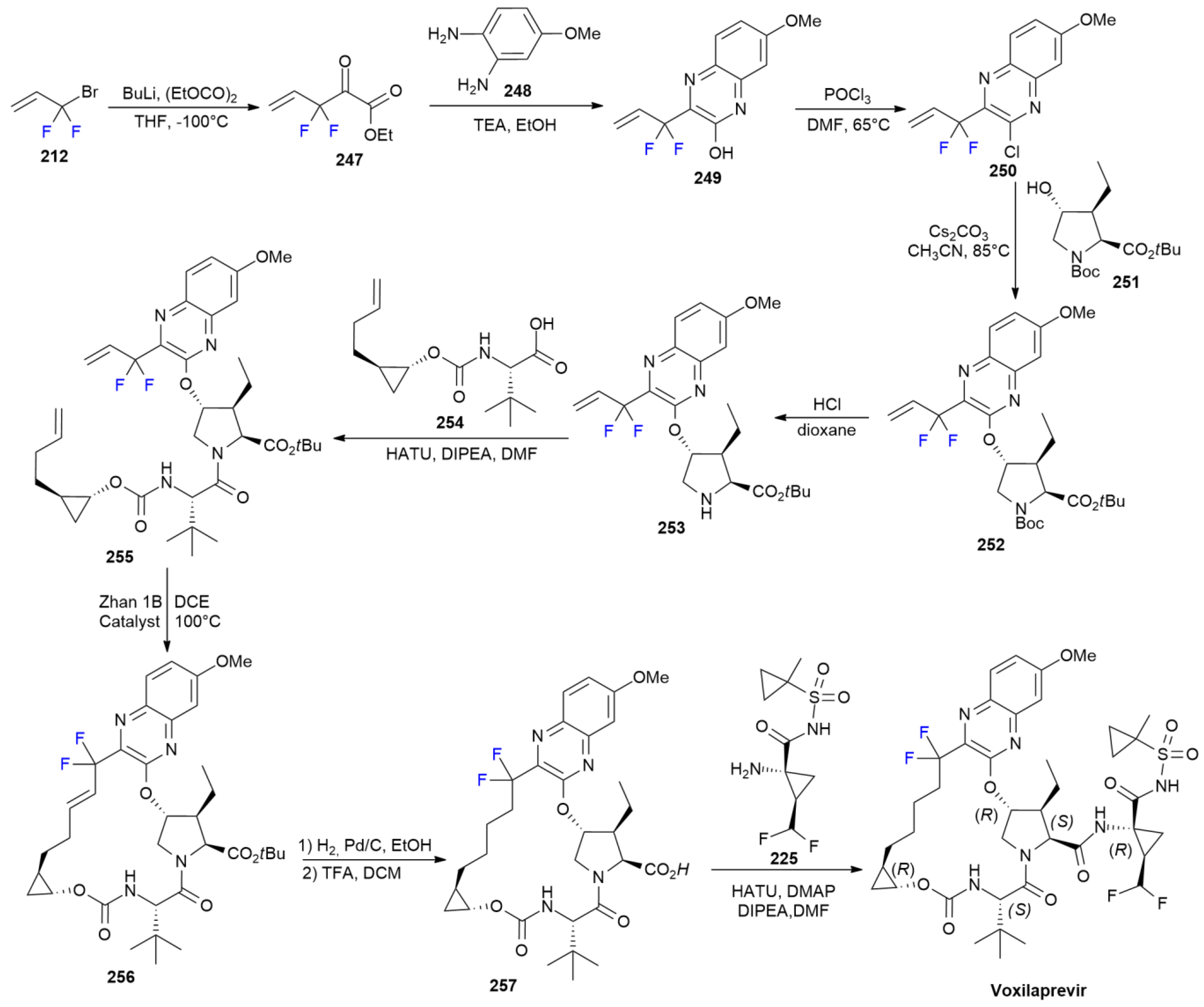 Ijms 24 07728 sch032 Ijms 24 07728 sch032