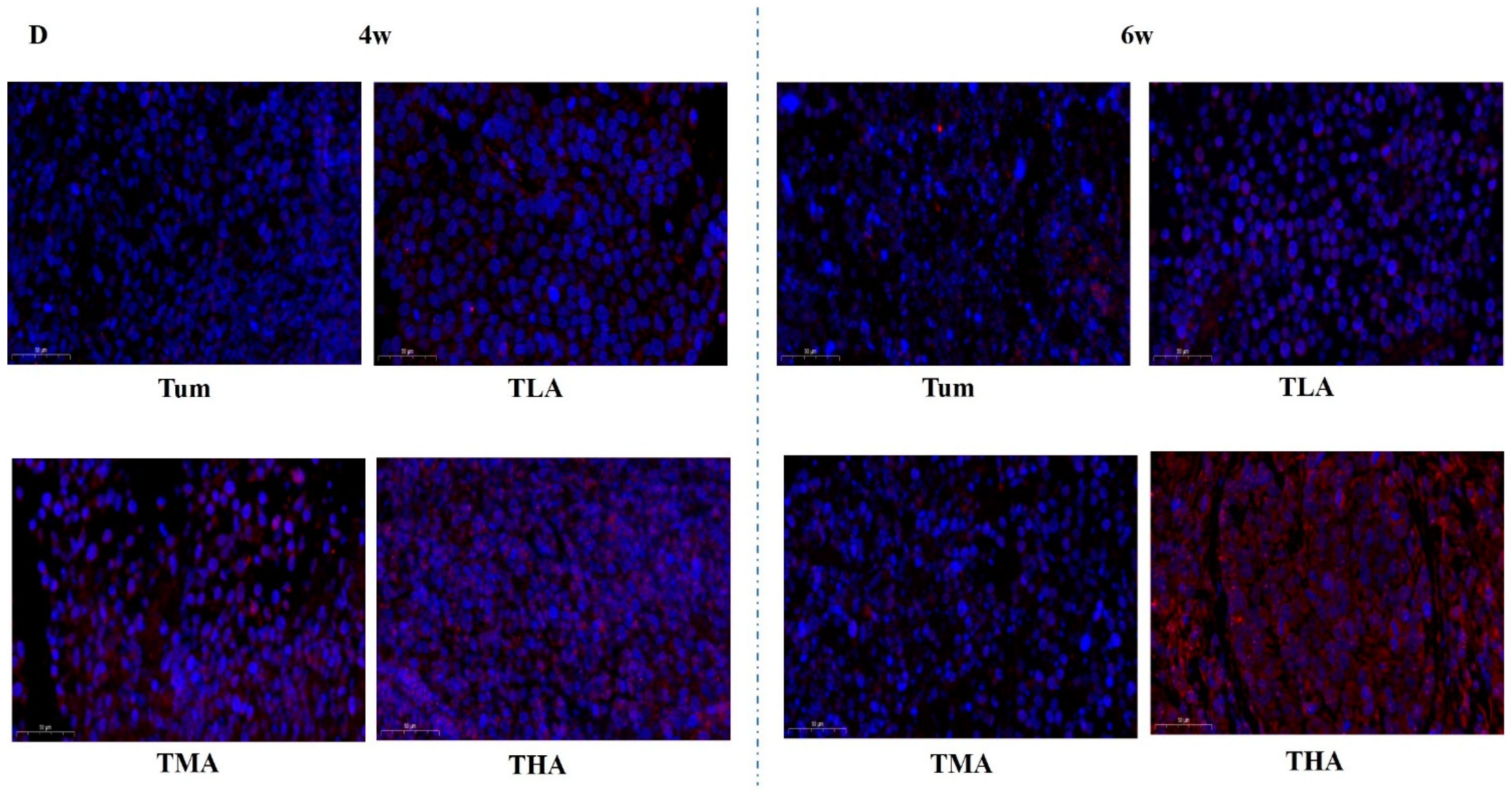Ijms 24 07729 g004c Ijms 24 07729 g004c
