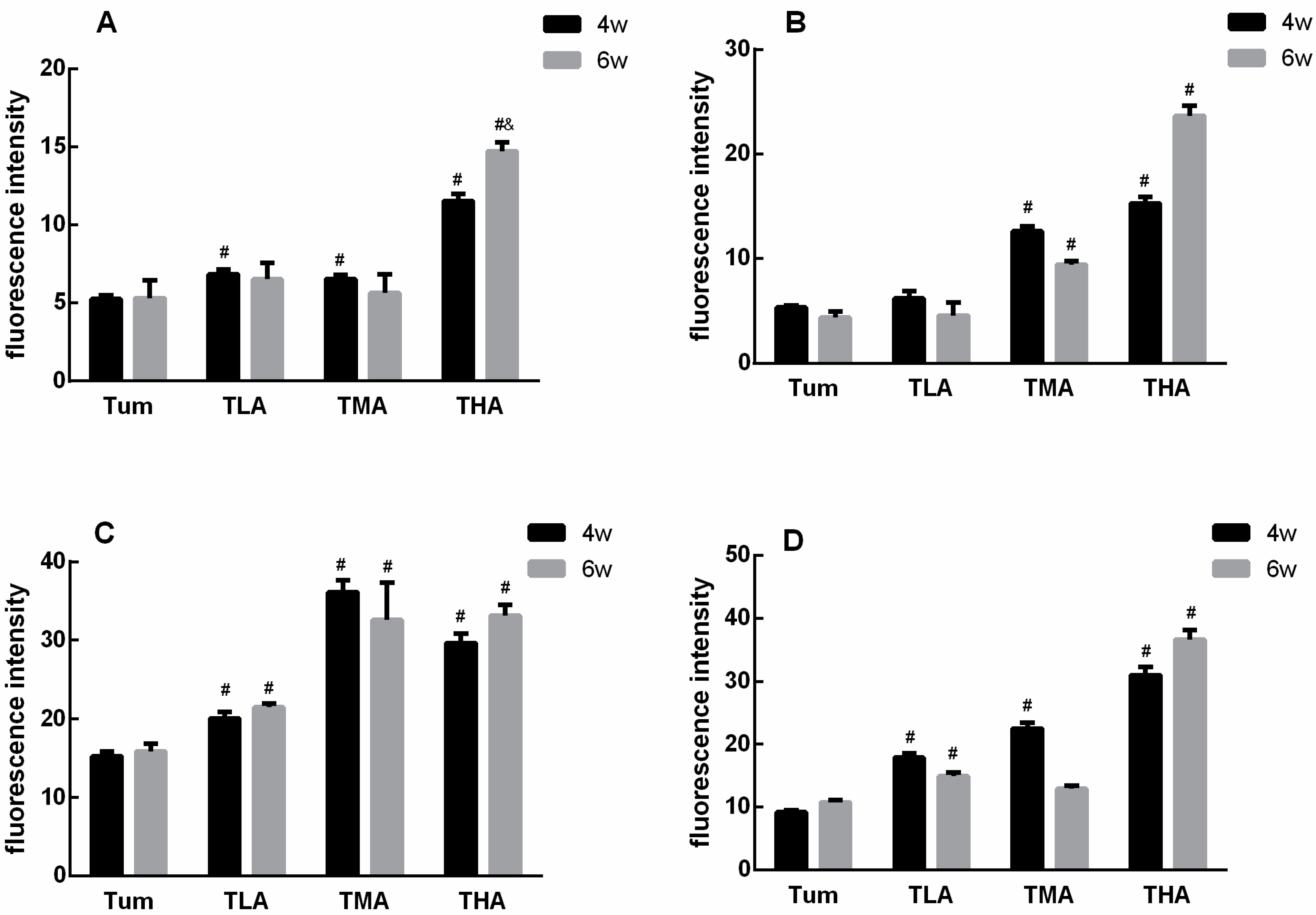 Ijms 24 07729 g005 Ijms 24 07729 g005