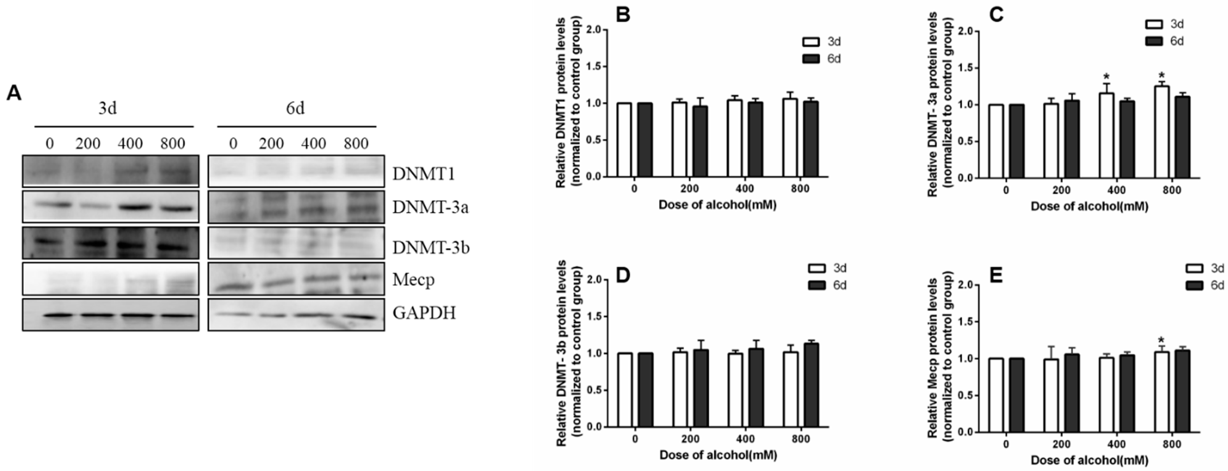 Ijms 24 07729 g007 Ijms 24 07729 g007