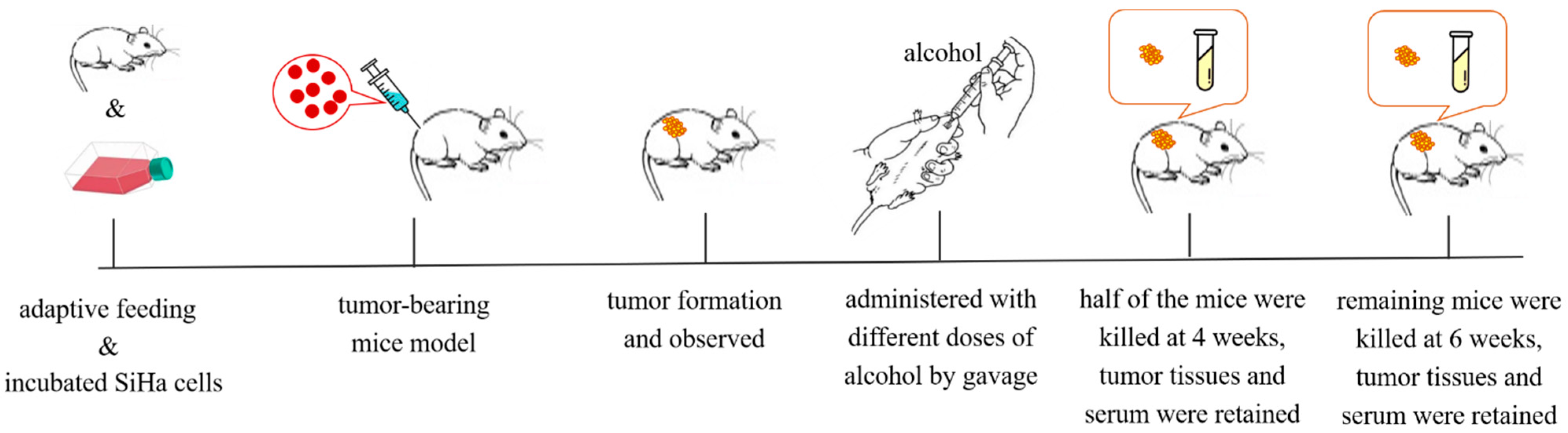 Ijms 24 07729 g009 Ijms 24 07729 g009