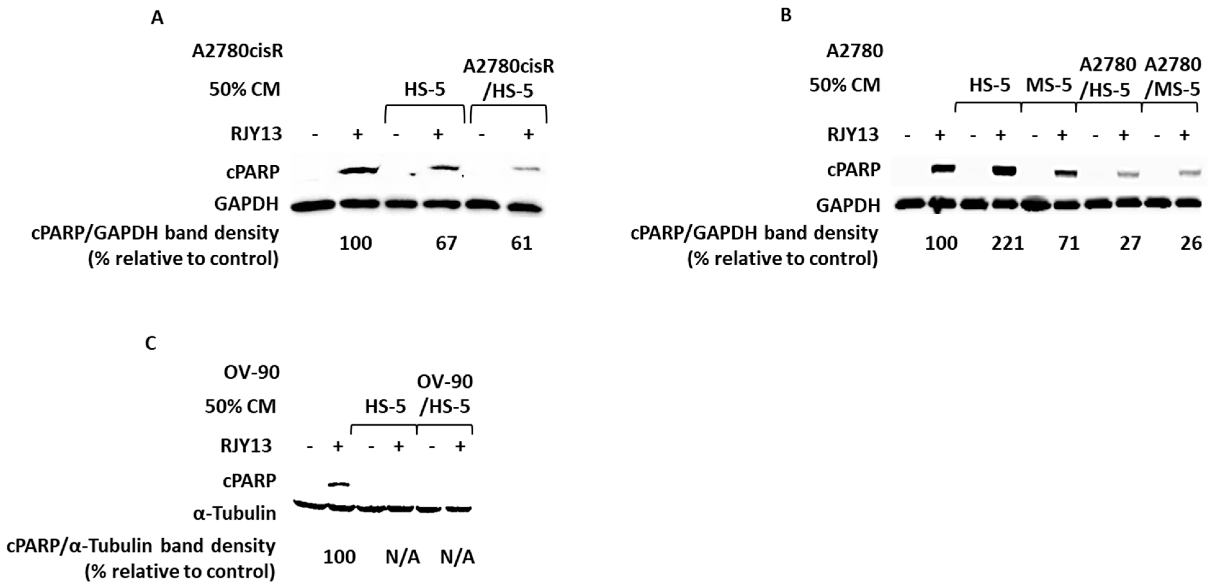 Ijms 24 07730 g001 Ijms 24 07730 g001