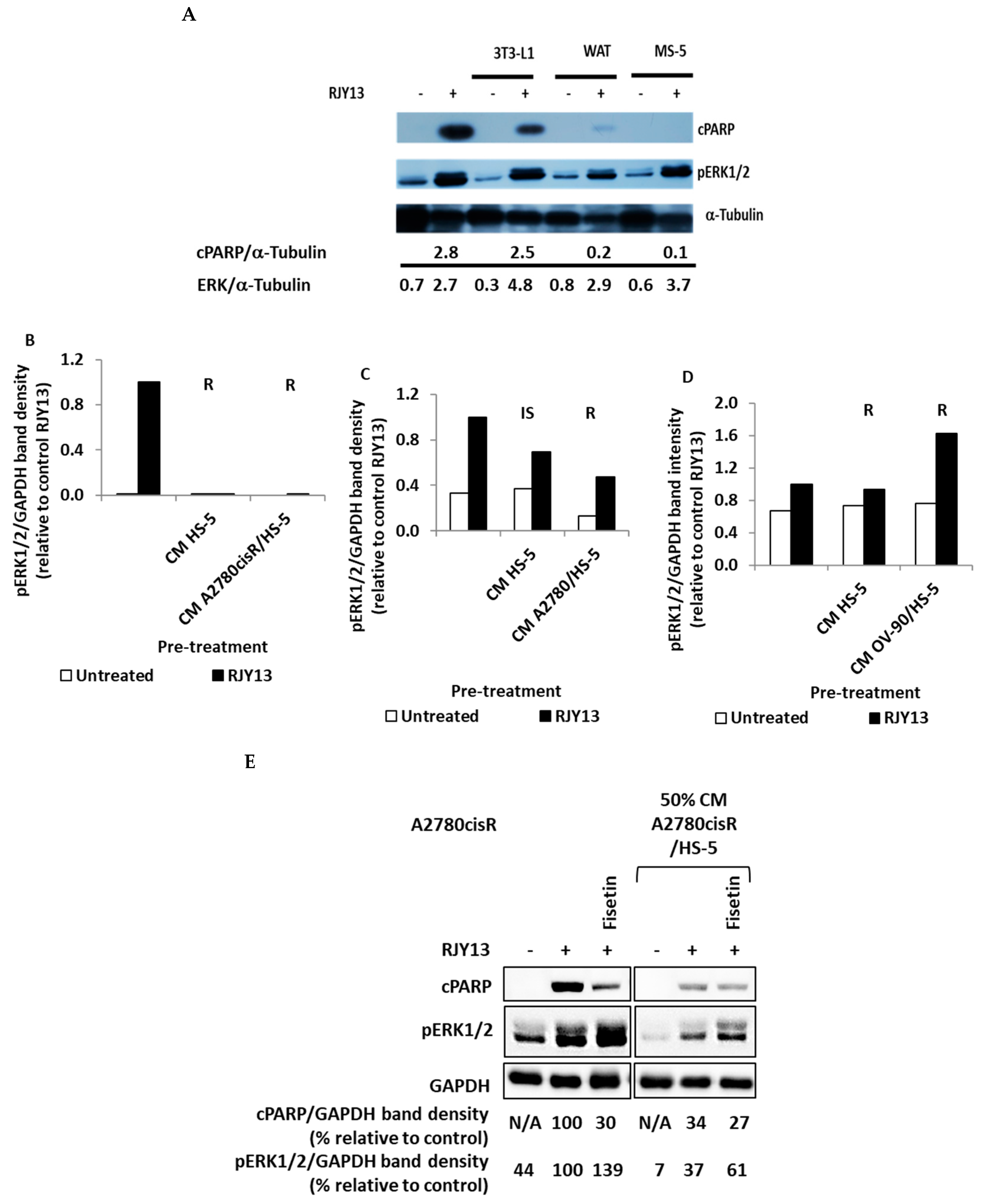 Ijms 24 07730 g002 Ijms 24 07730 g002