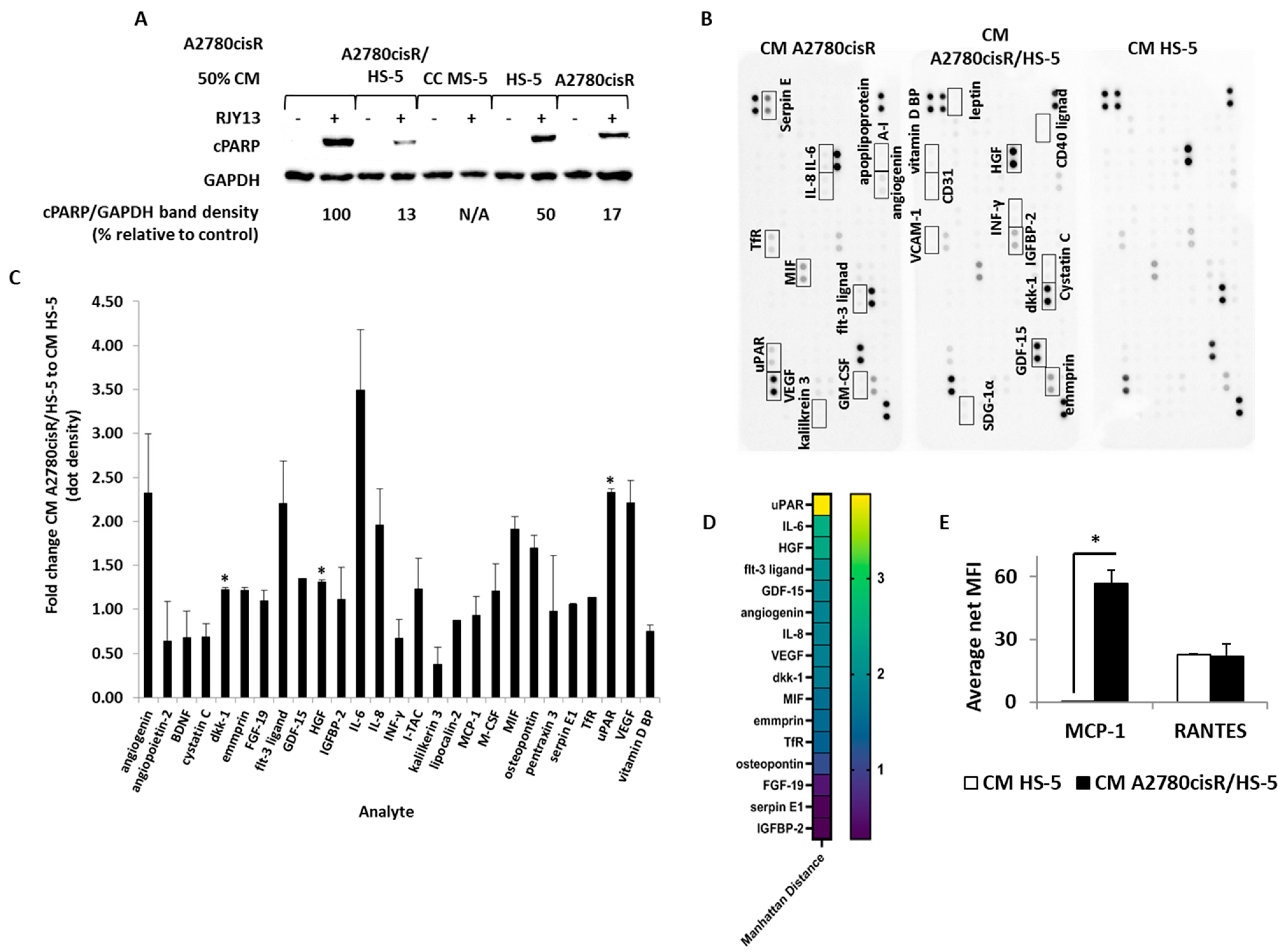 Ijms 24 07730 g003 Ijms 24 07730 g003