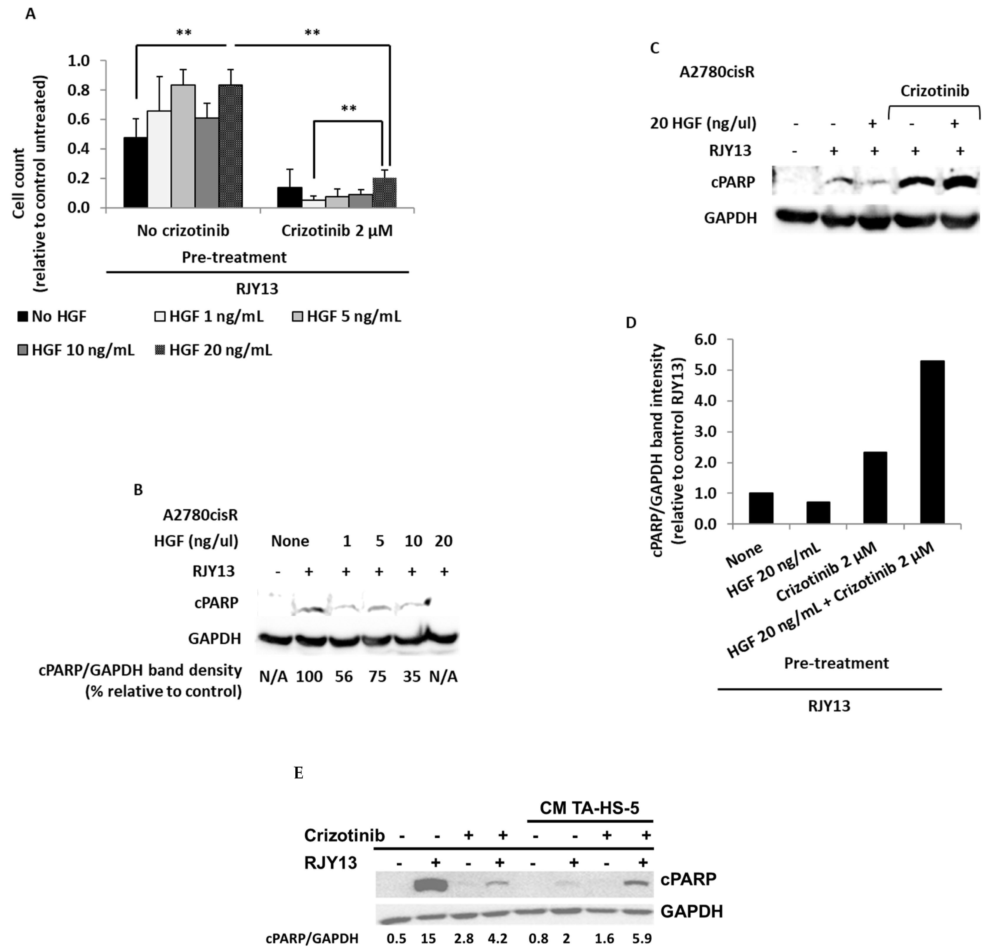 Ijms 24 07730 g005 Ijms 24 07730 g005