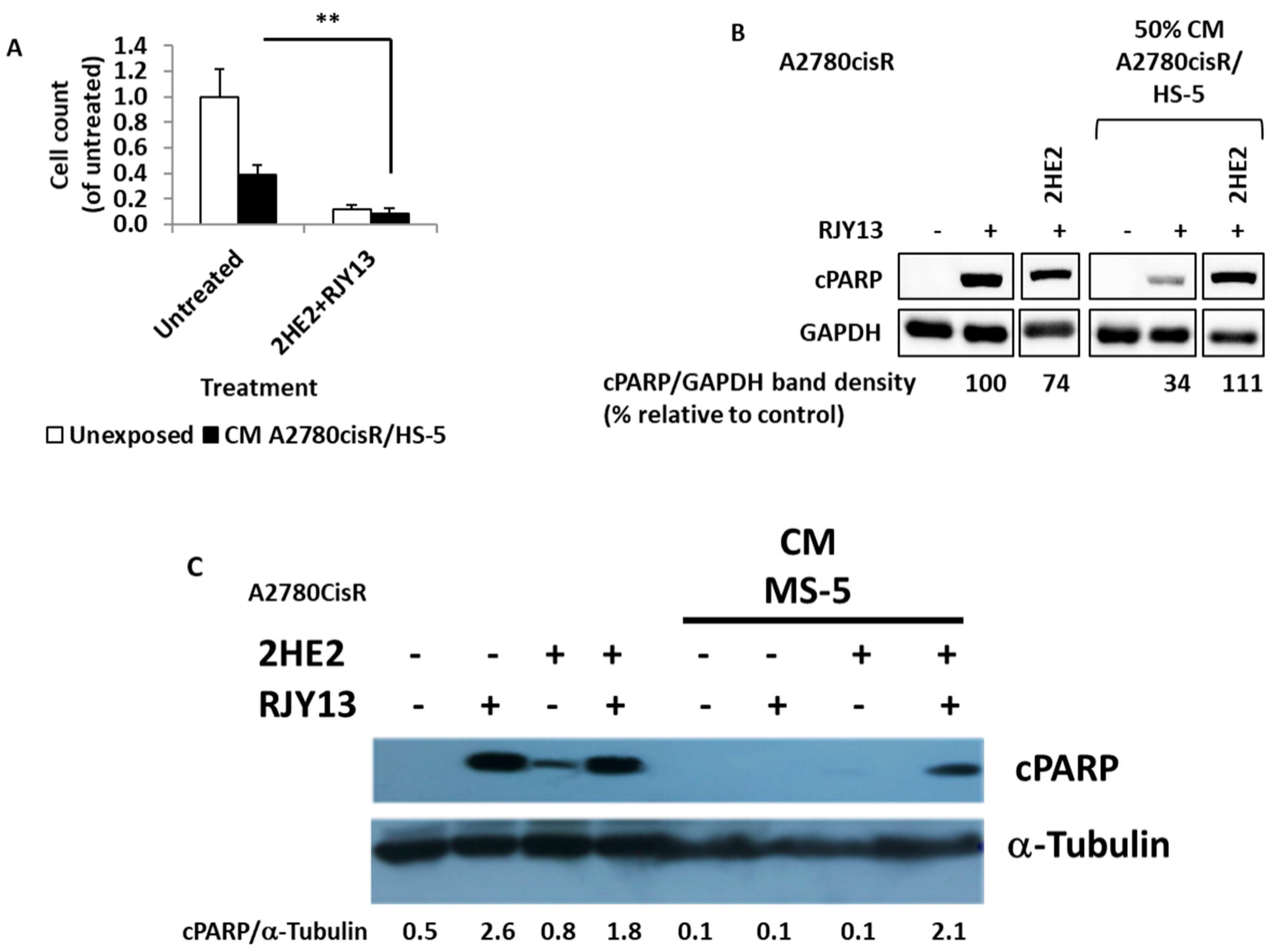 Ijms 24 07730 g006 Ijms 24 07730 g006