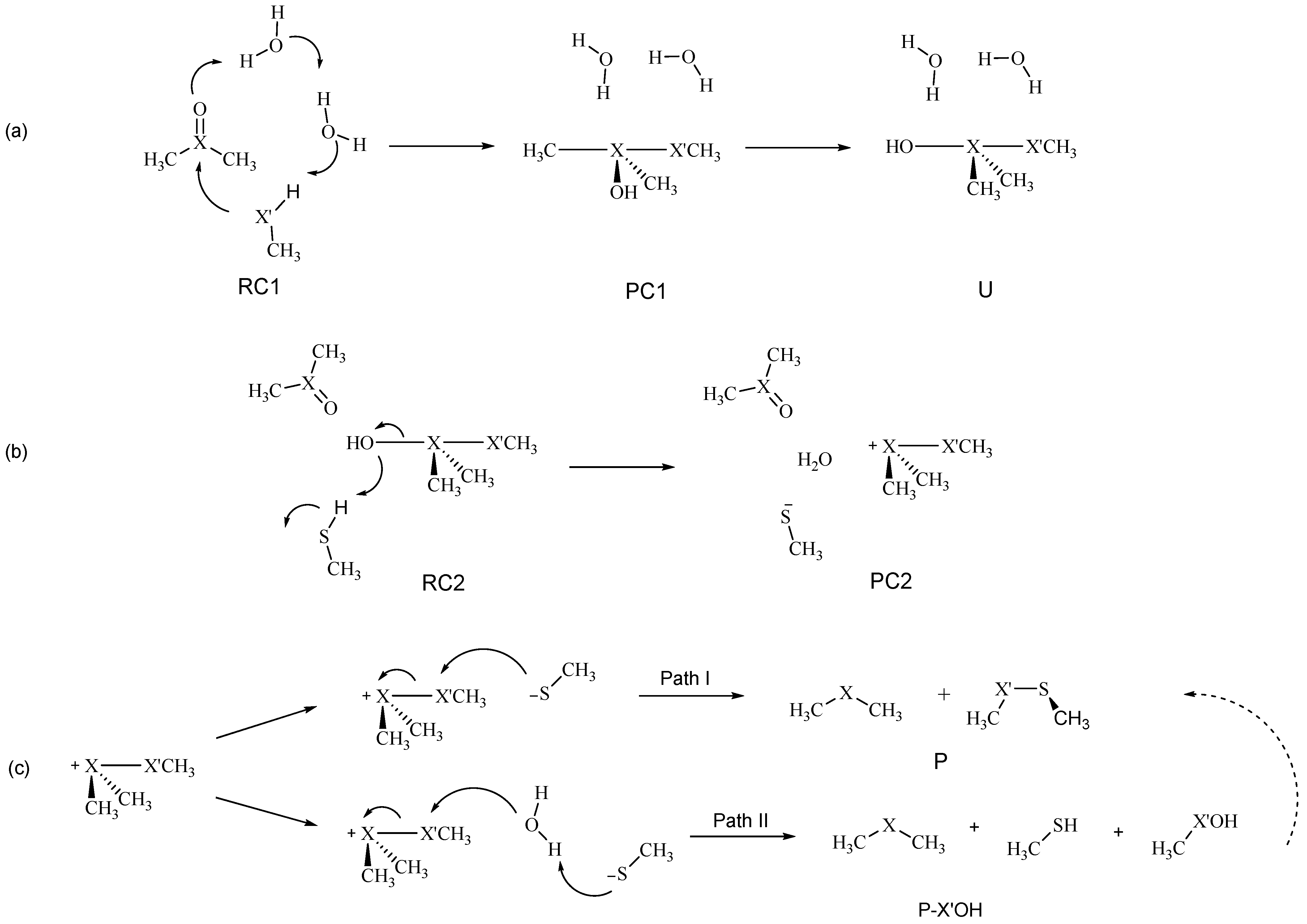 Ijms 24 07754 sch003