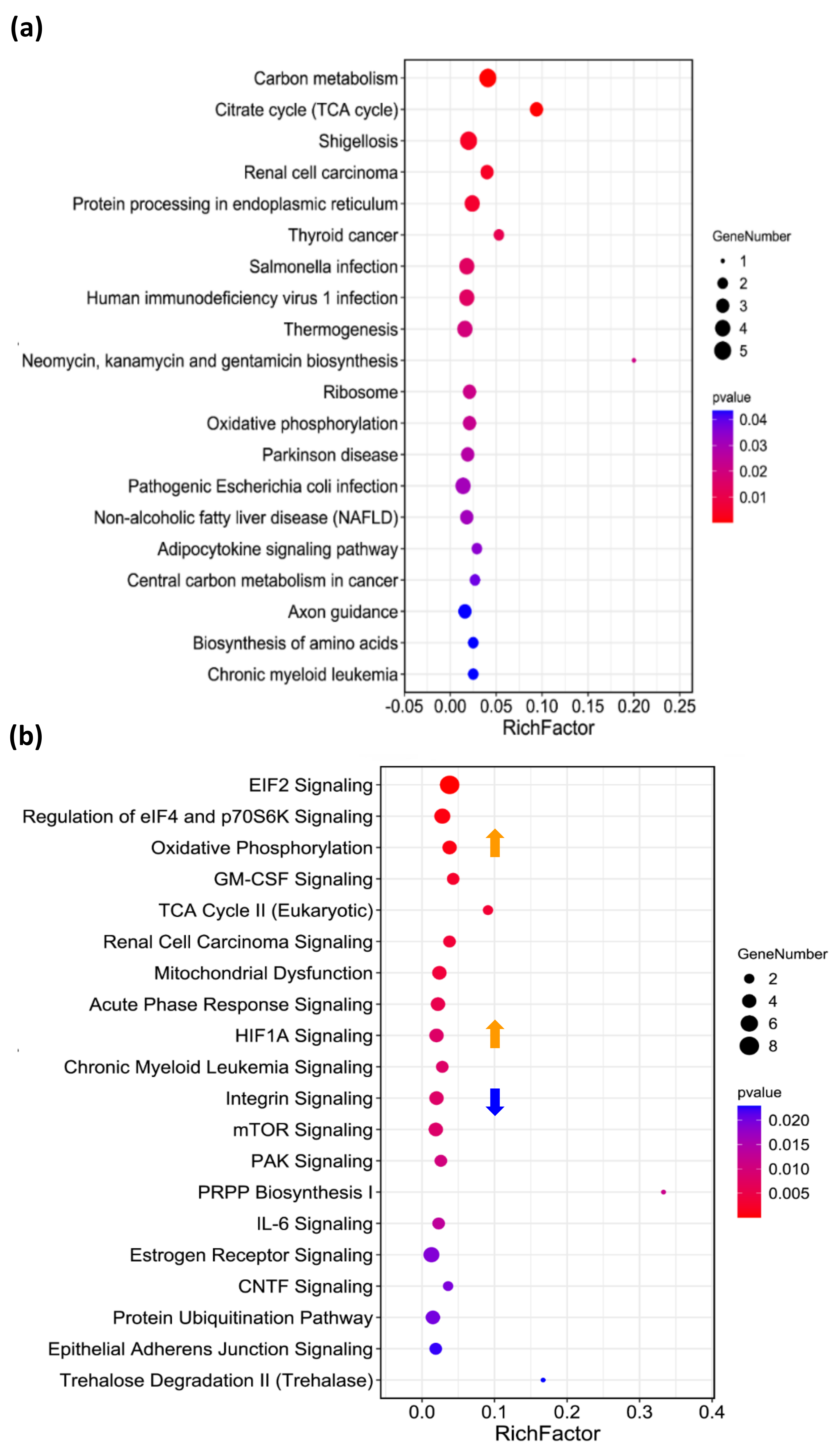 Ijms 24 07756 g005 Ijms 24 07756 g005