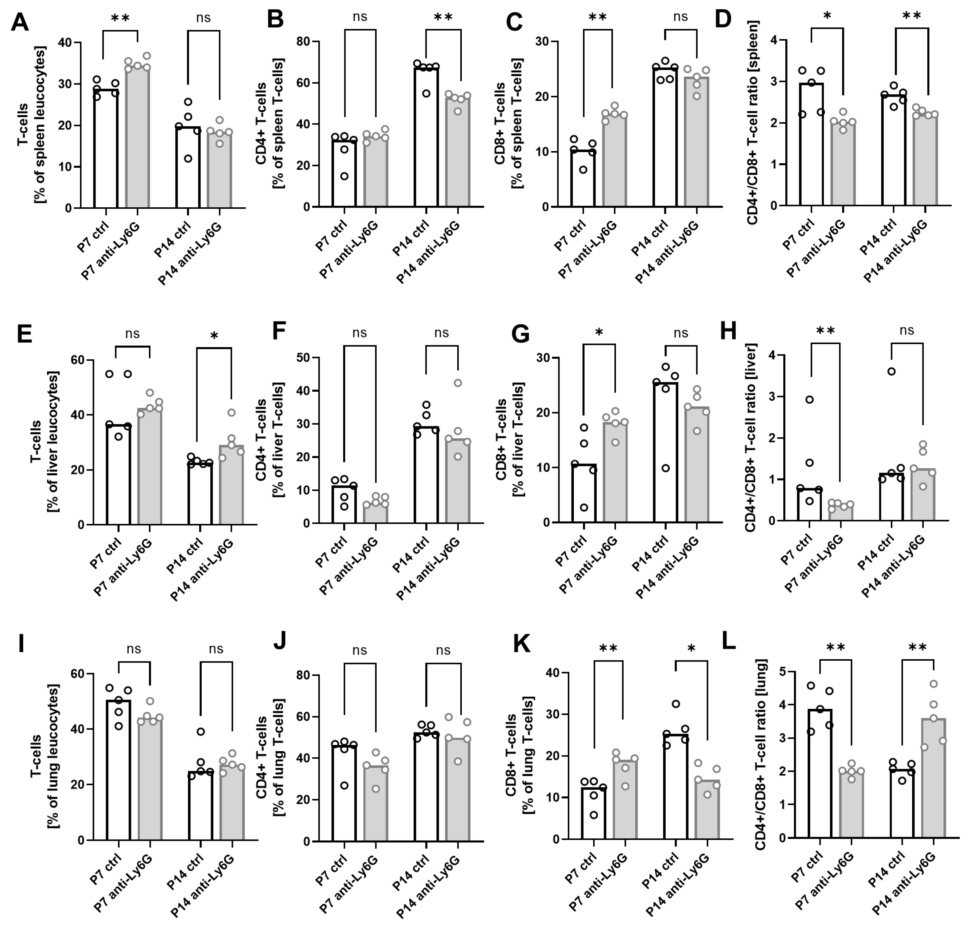 Ijms 24 07763 g002 Ijms 24 07763 g002