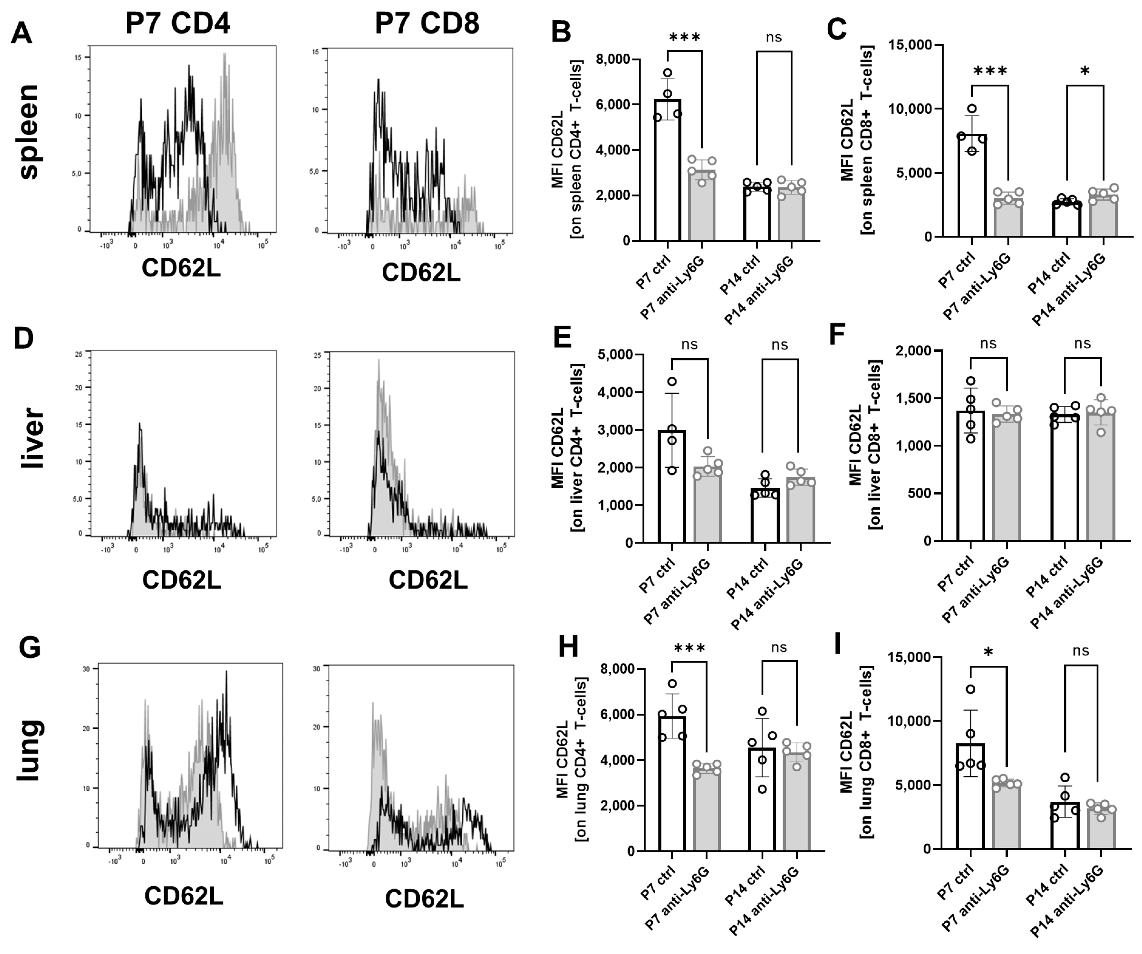 Ijms 24 07763 g003 Ijms 24 07763 g003