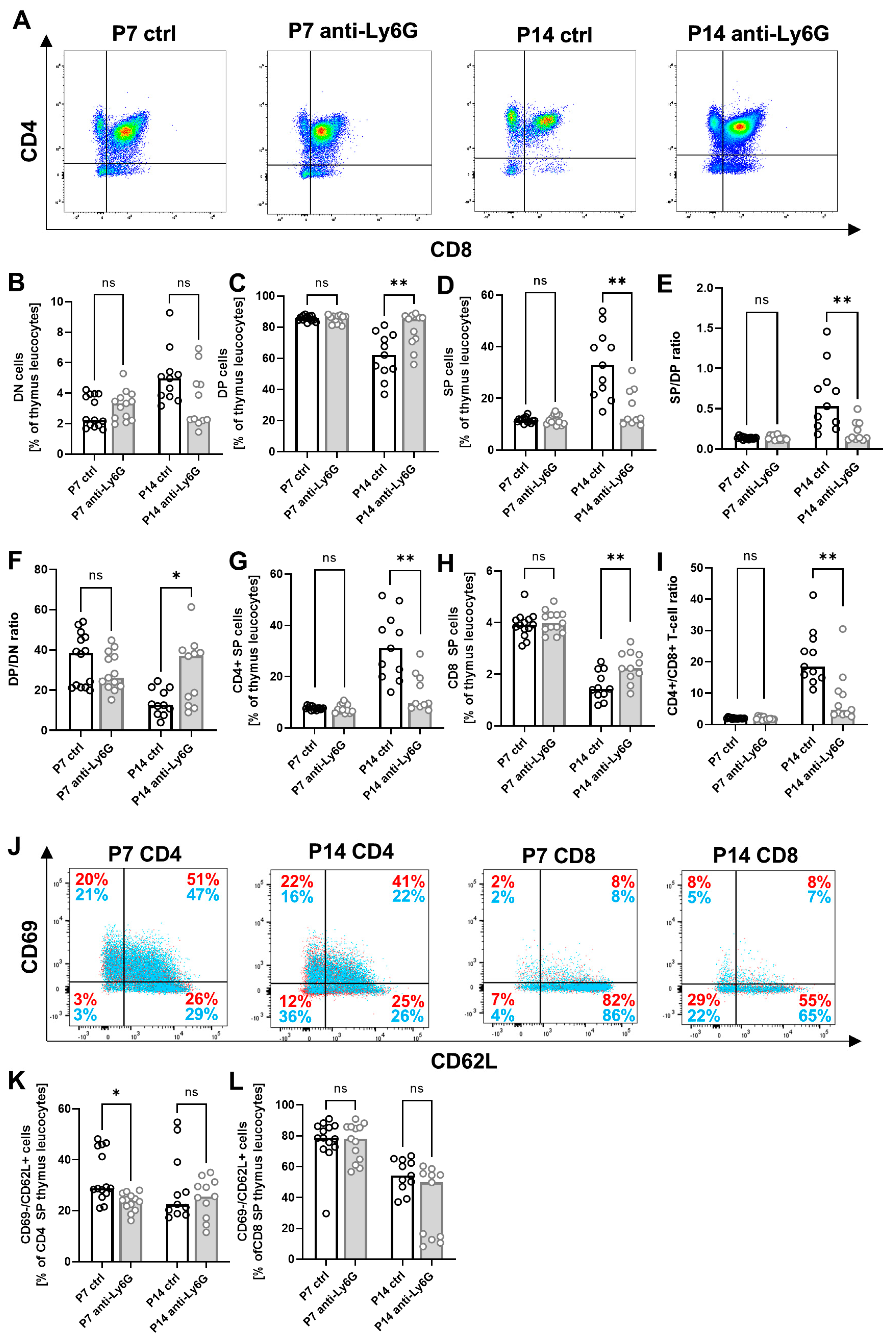 Ijms 24 07763 g004 Ijms 24 07763 g004