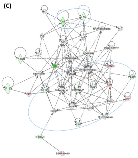 Frontiers | O-fucosylation of CPN20 by SPINDLY Derepresses
