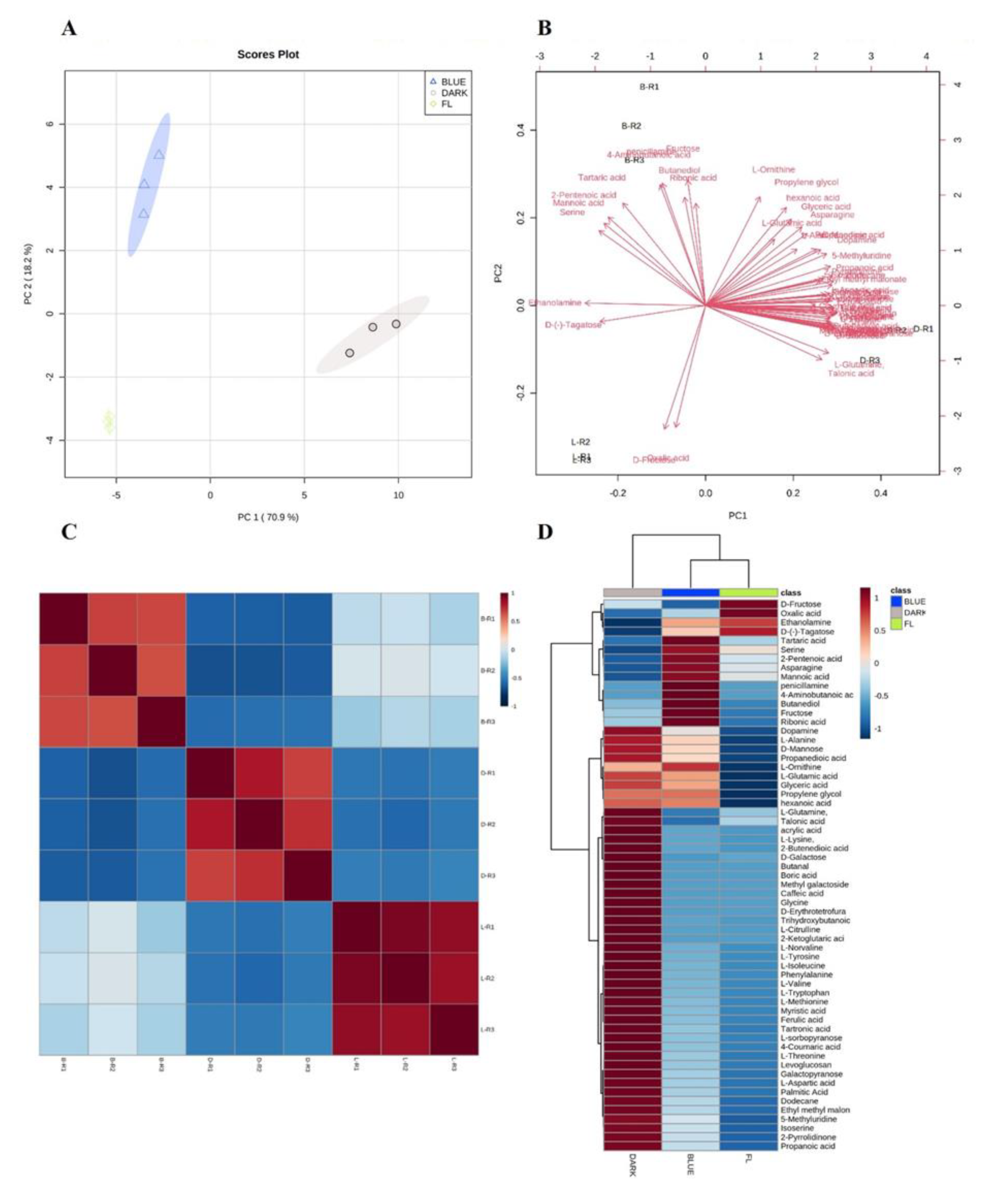 Ijms 24 07768 g001 Ijms 24 07768 g001