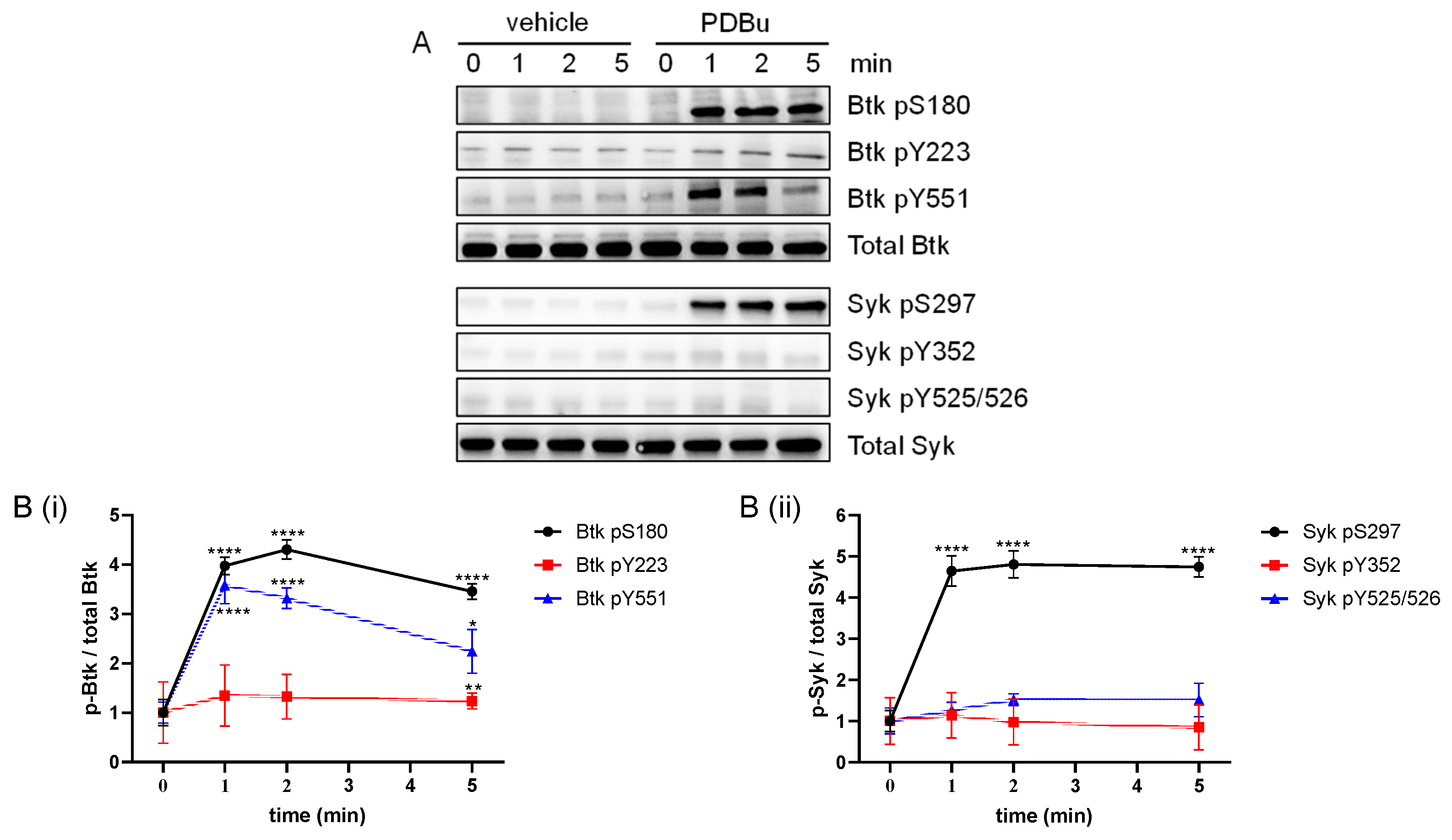 Ijms 24 07776 g002 Ijms 24 07776 g002