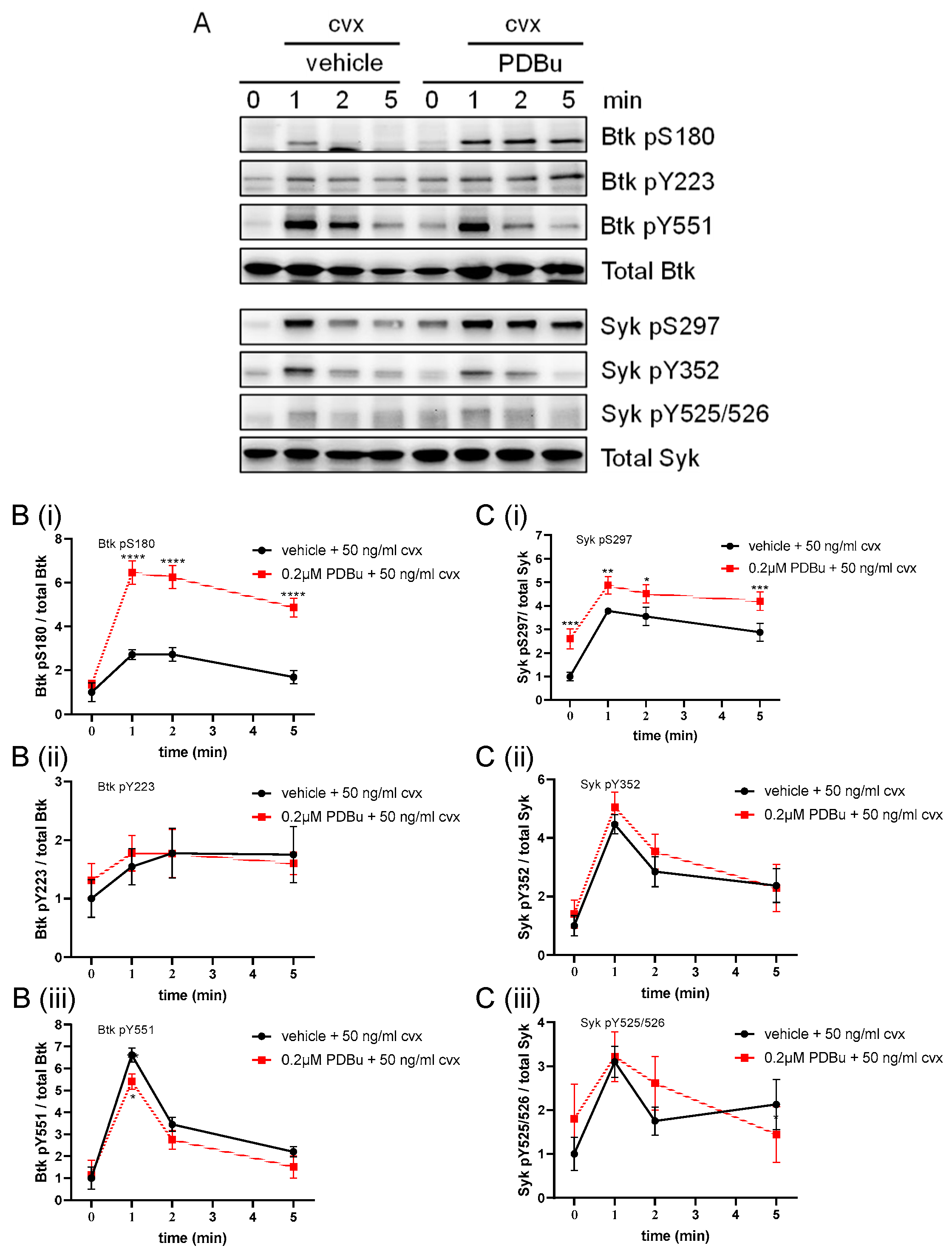 Ijms 24 07776 g004 Ijms 24 07776 g004