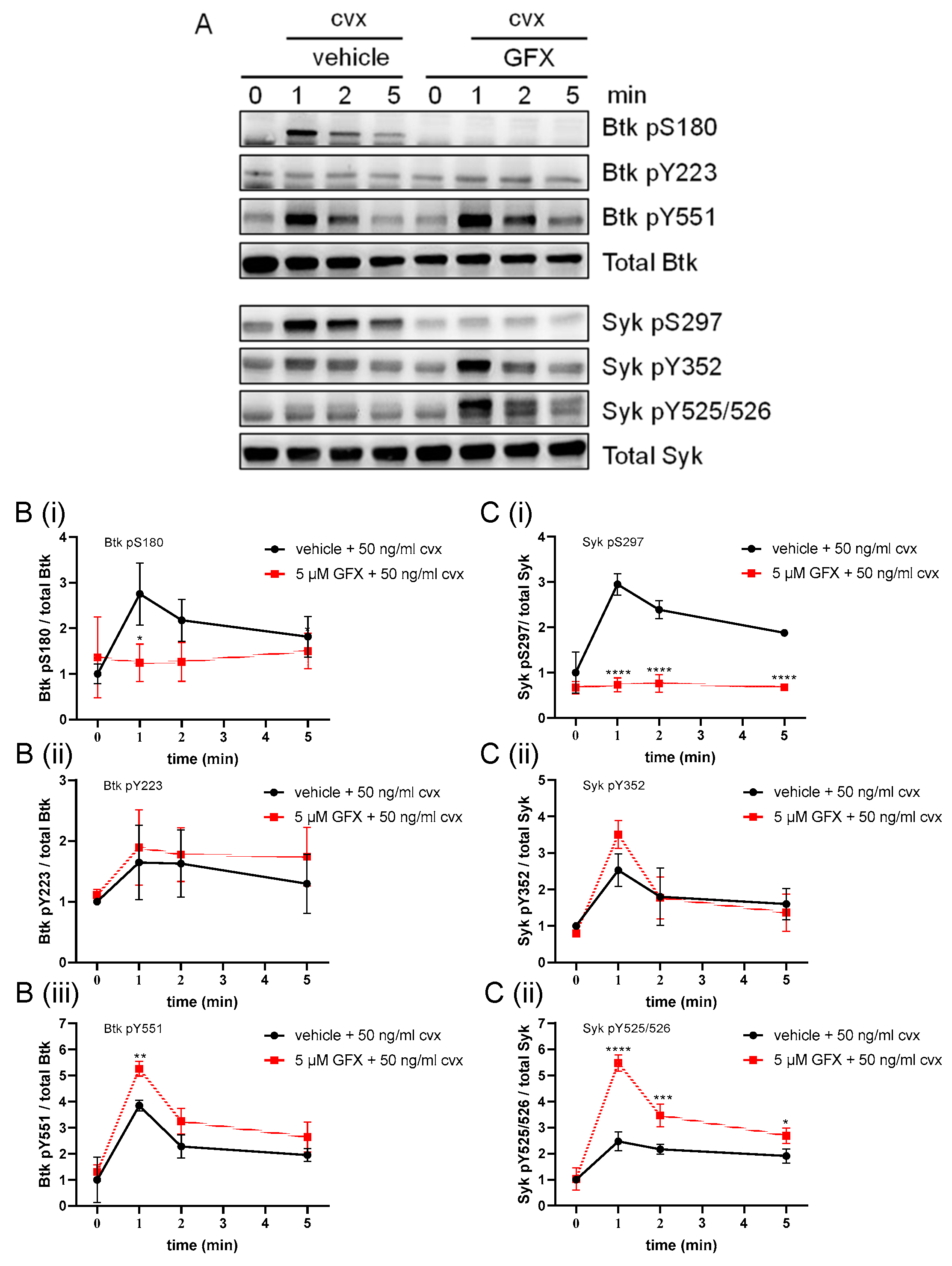 Ijms 24 07776 g005 Ijms 24 07776 g005