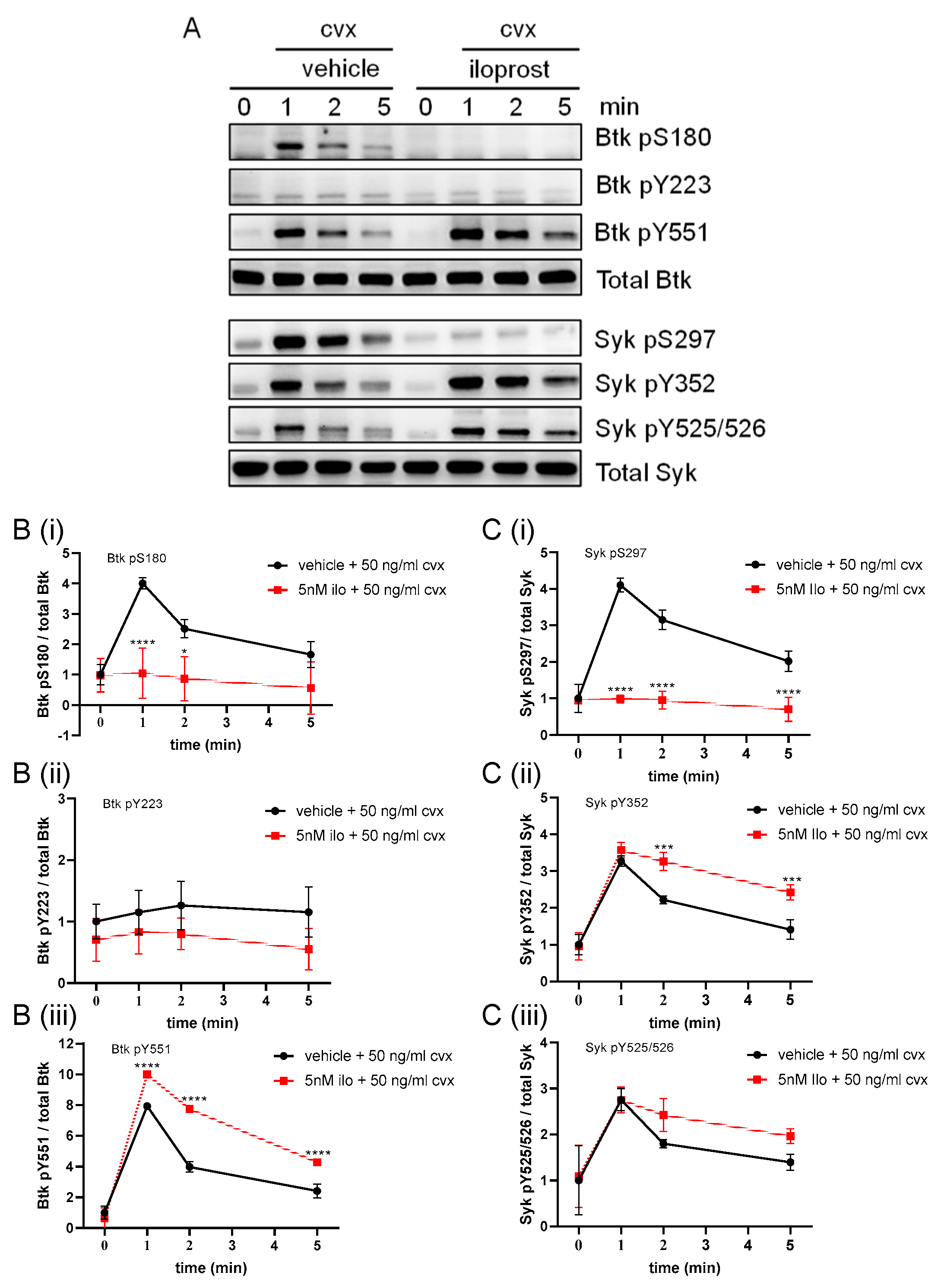Ijms 24 07776 g006 Ijms 24 07776 g006