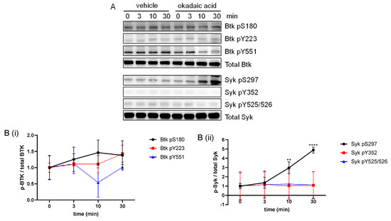 Differential Regulation of GPVI-Induced Btk and Syk Activation by PKC ...