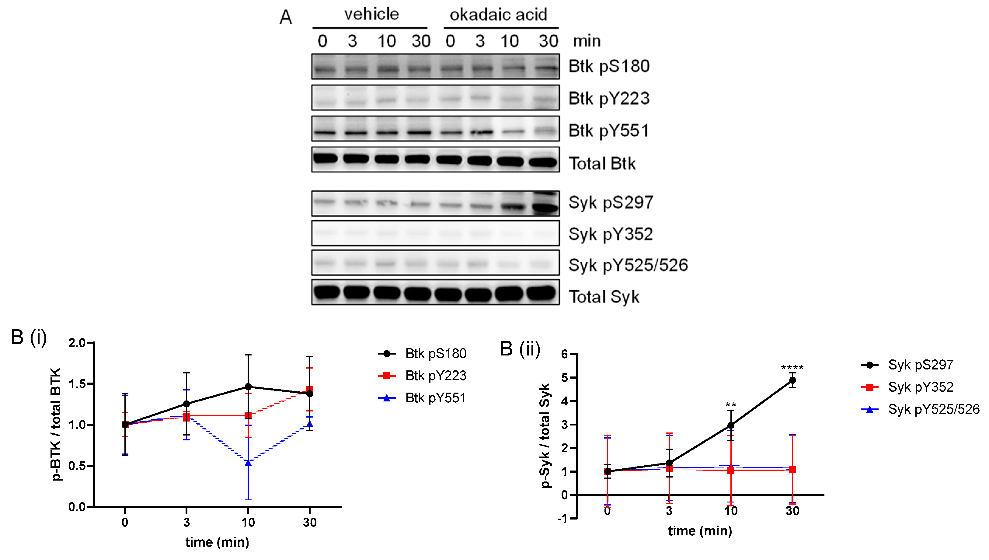 Ijms 24 07776 g007 Ijms 24 07776 g007