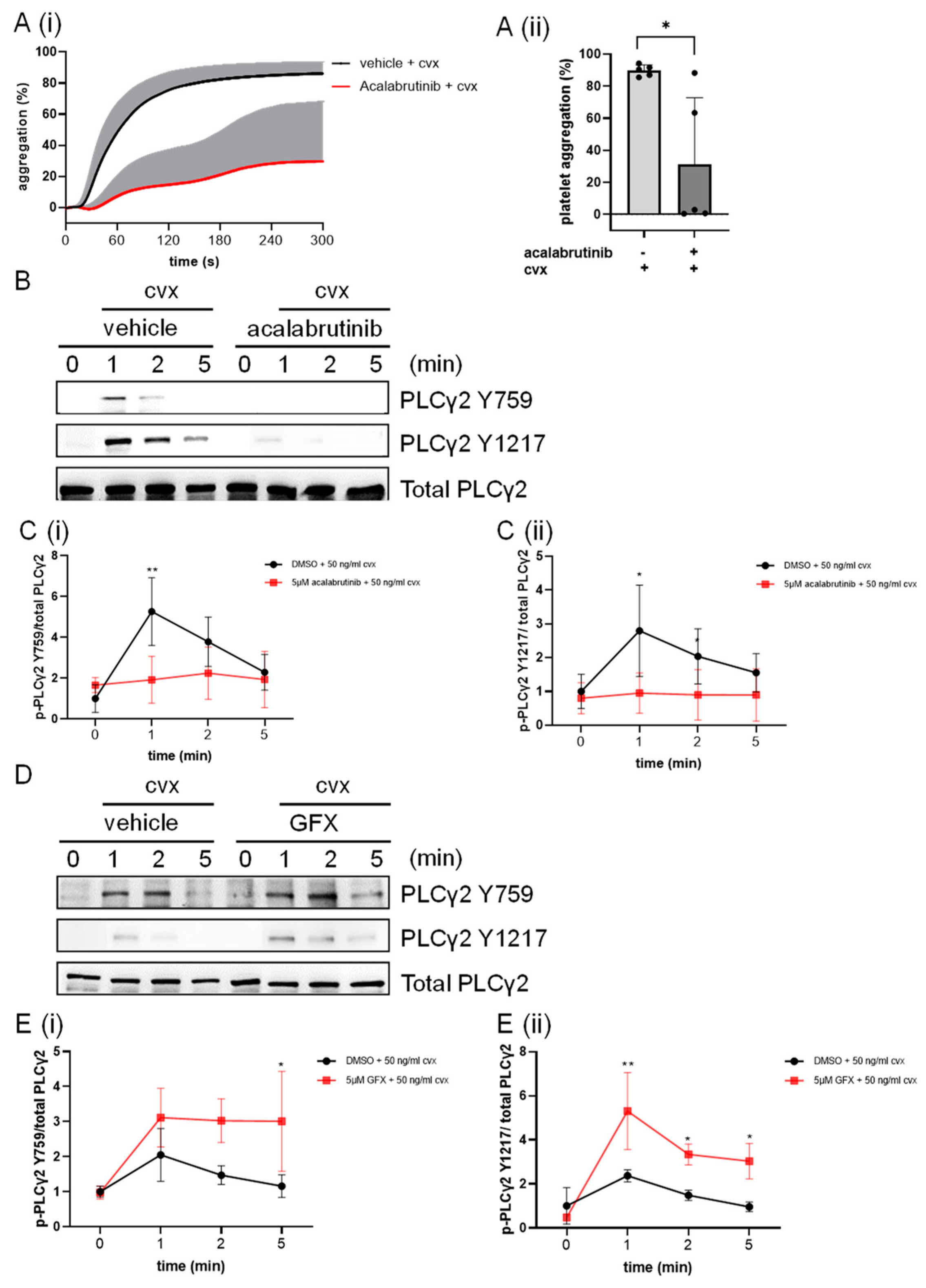 Ijms 24 07776 g008 Ijms 24 07776 g008