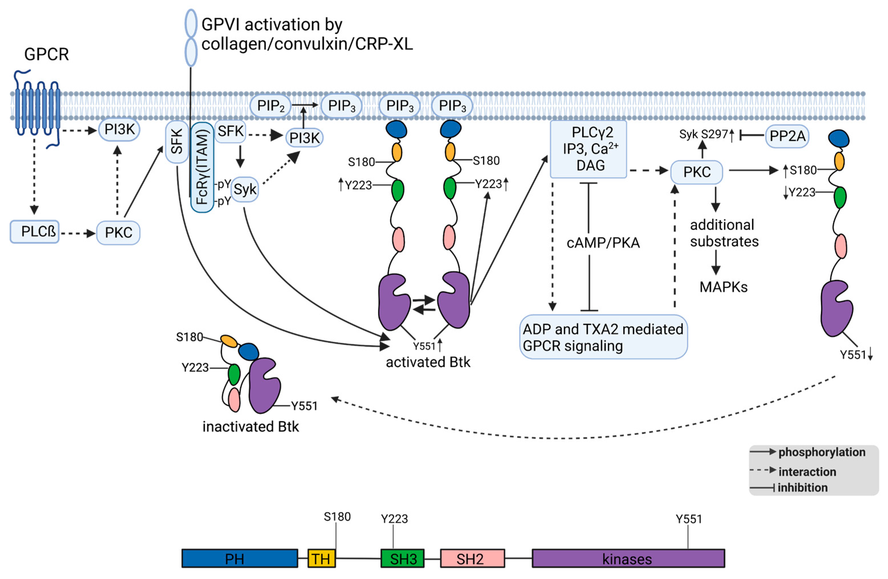 Ijms 24 07776 g009 Ijms 24 07776 g009
