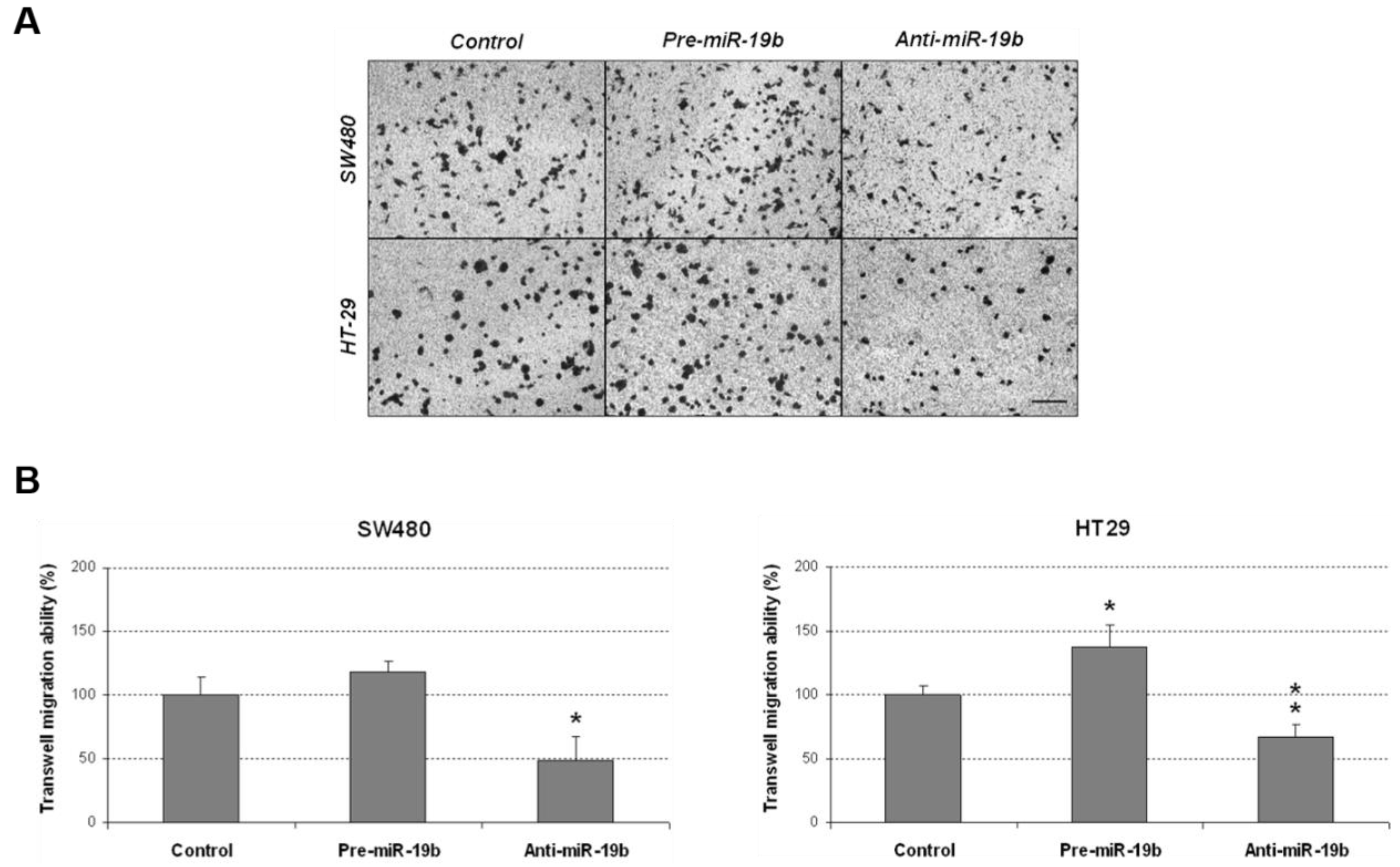 Ijms 24 07779 g004 Ijms 24 07779 g004