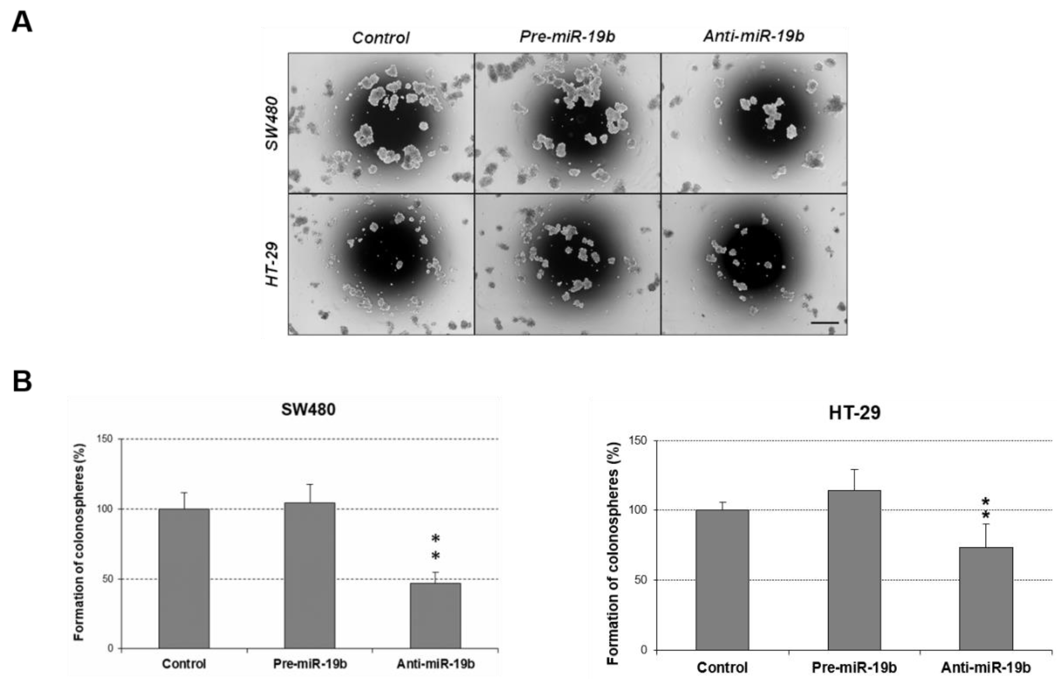 Ijms 24 07779 g005 Ijms 24 07779 g005