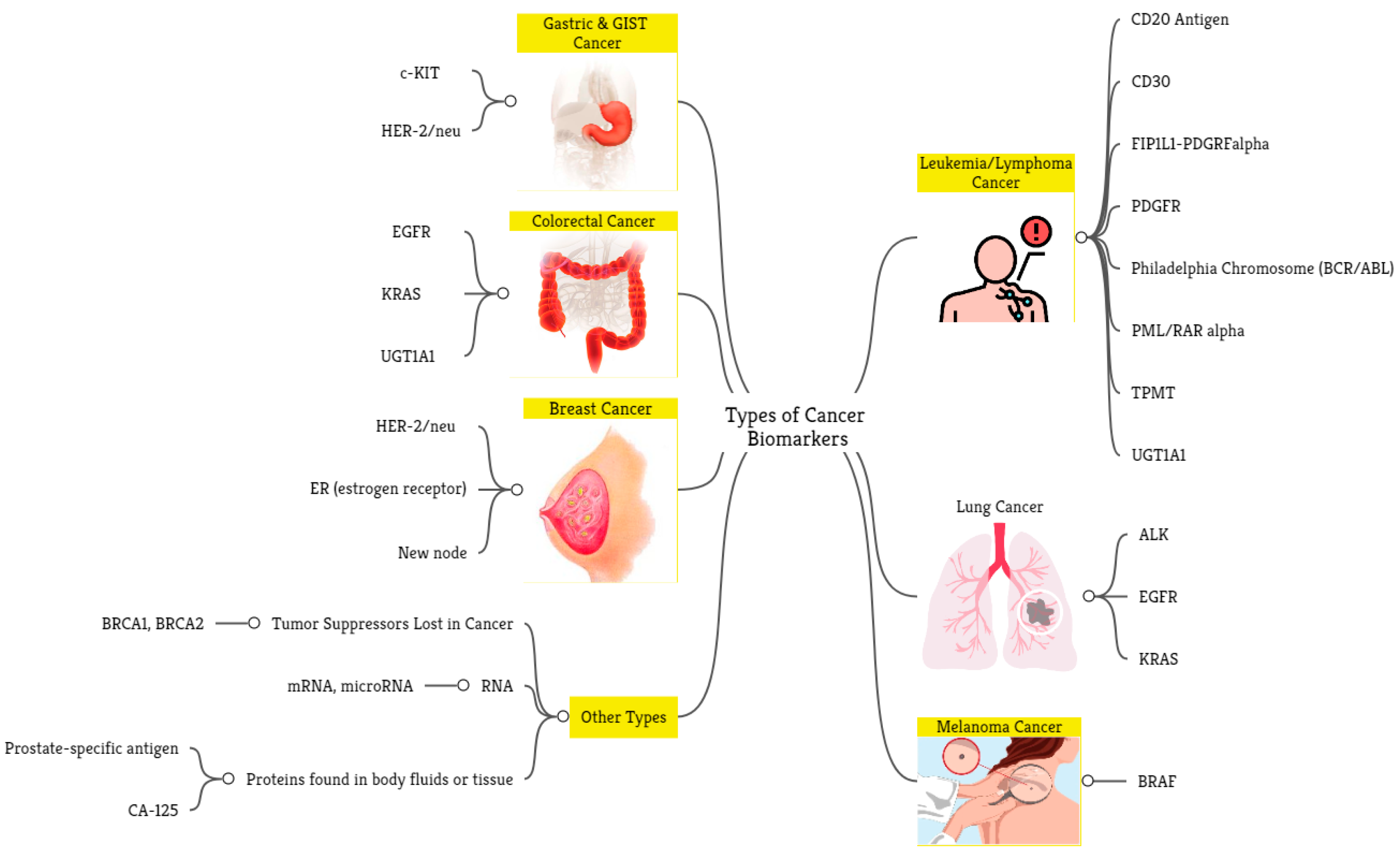 Ijms 24 07781 g008 Ijms 24 07781 g008