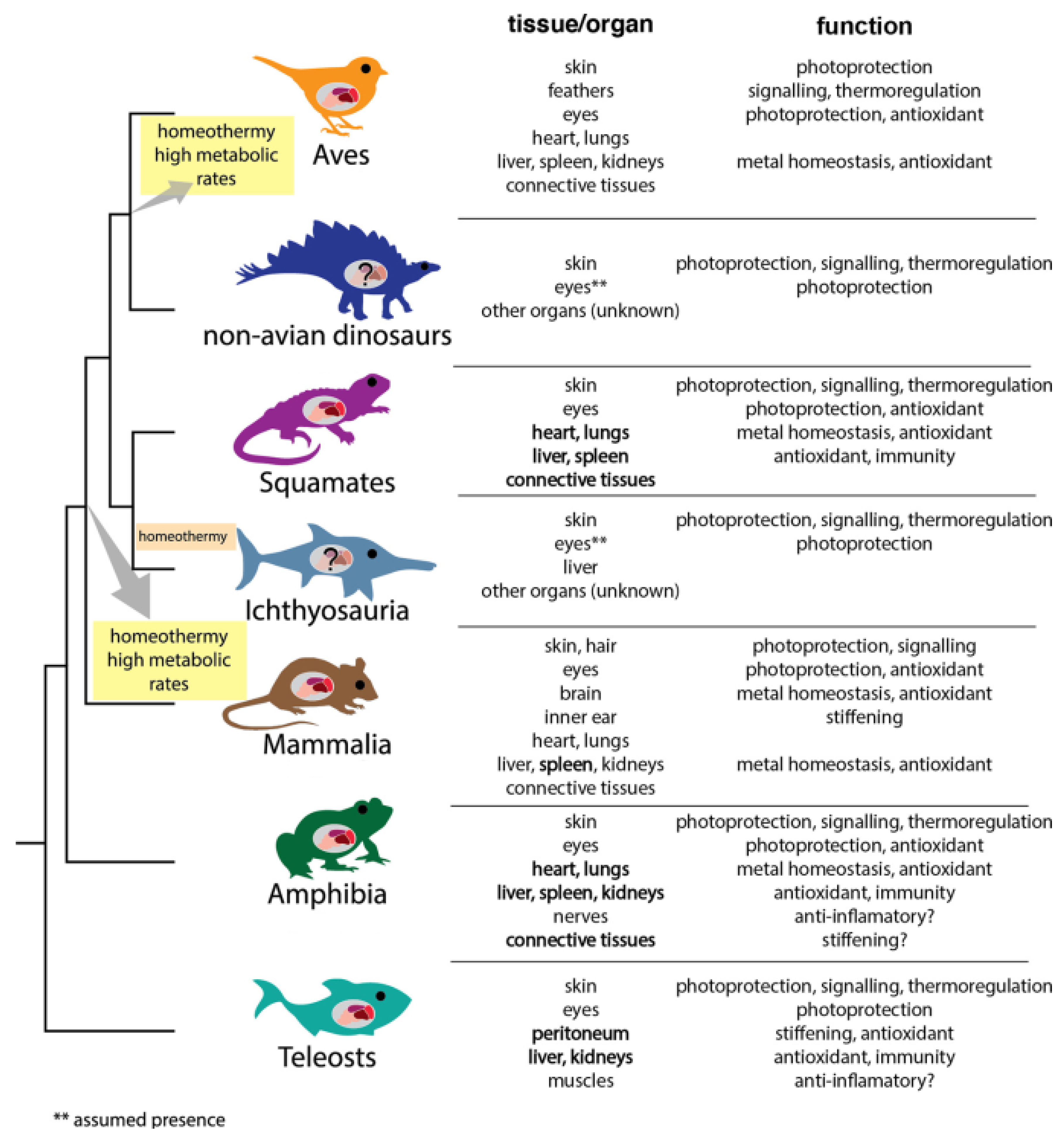 Ijms 24 07783 g002 Ijms 24 07783 g002