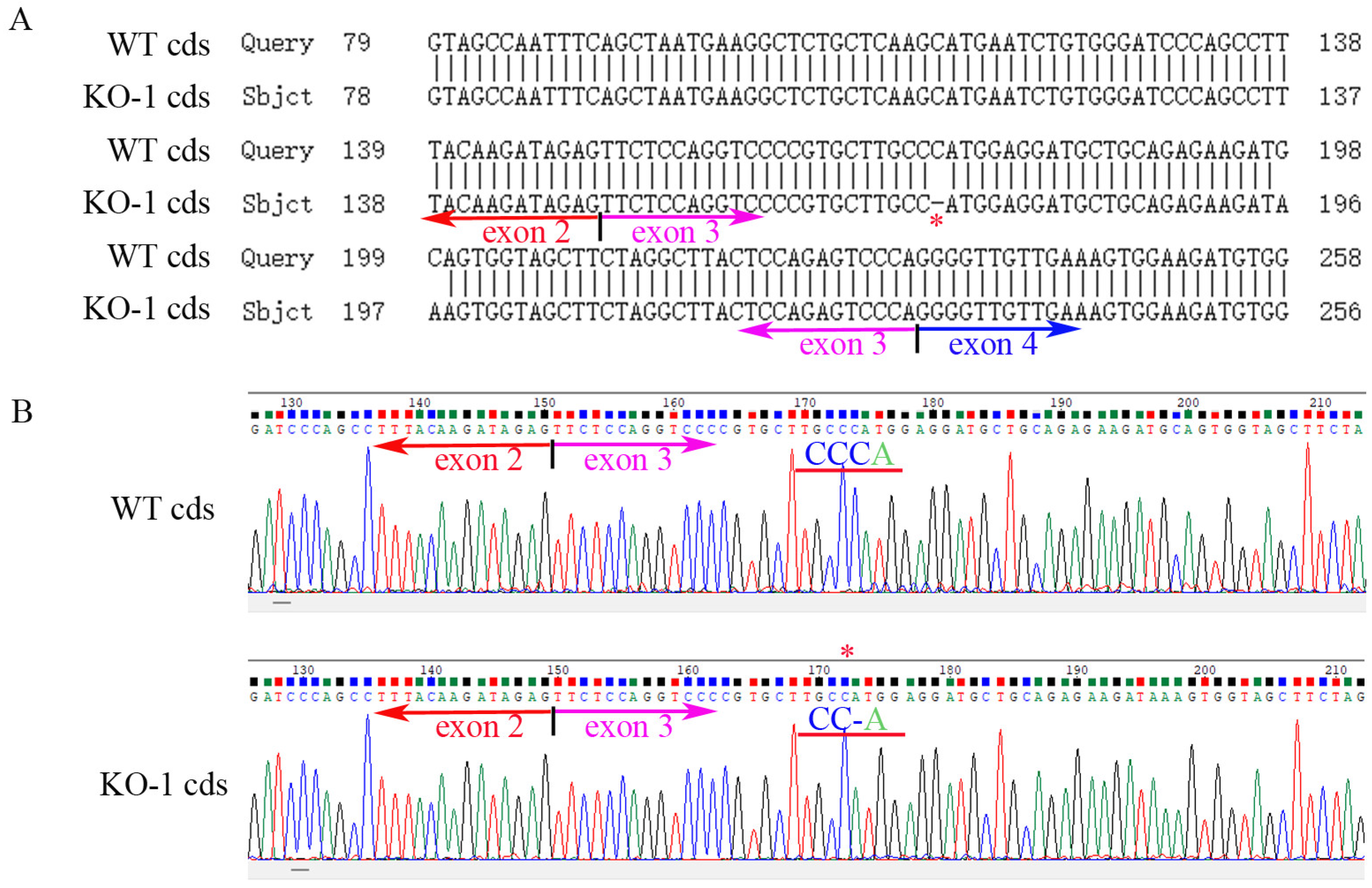 Ijms 24 07786 g002 Ijms 24 07786 g002