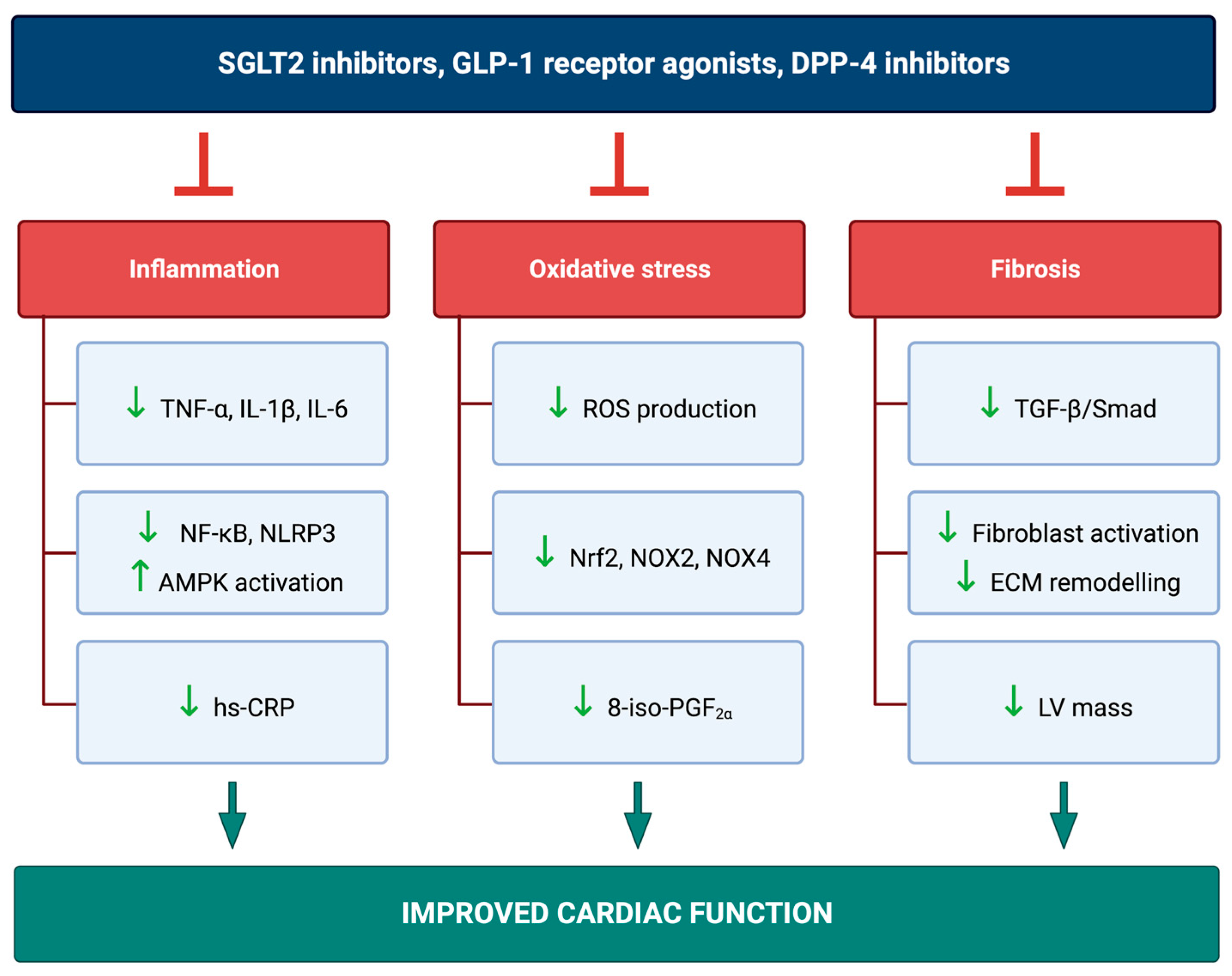 Ijms 24 07789 g002 Ijms 24 07789 g002