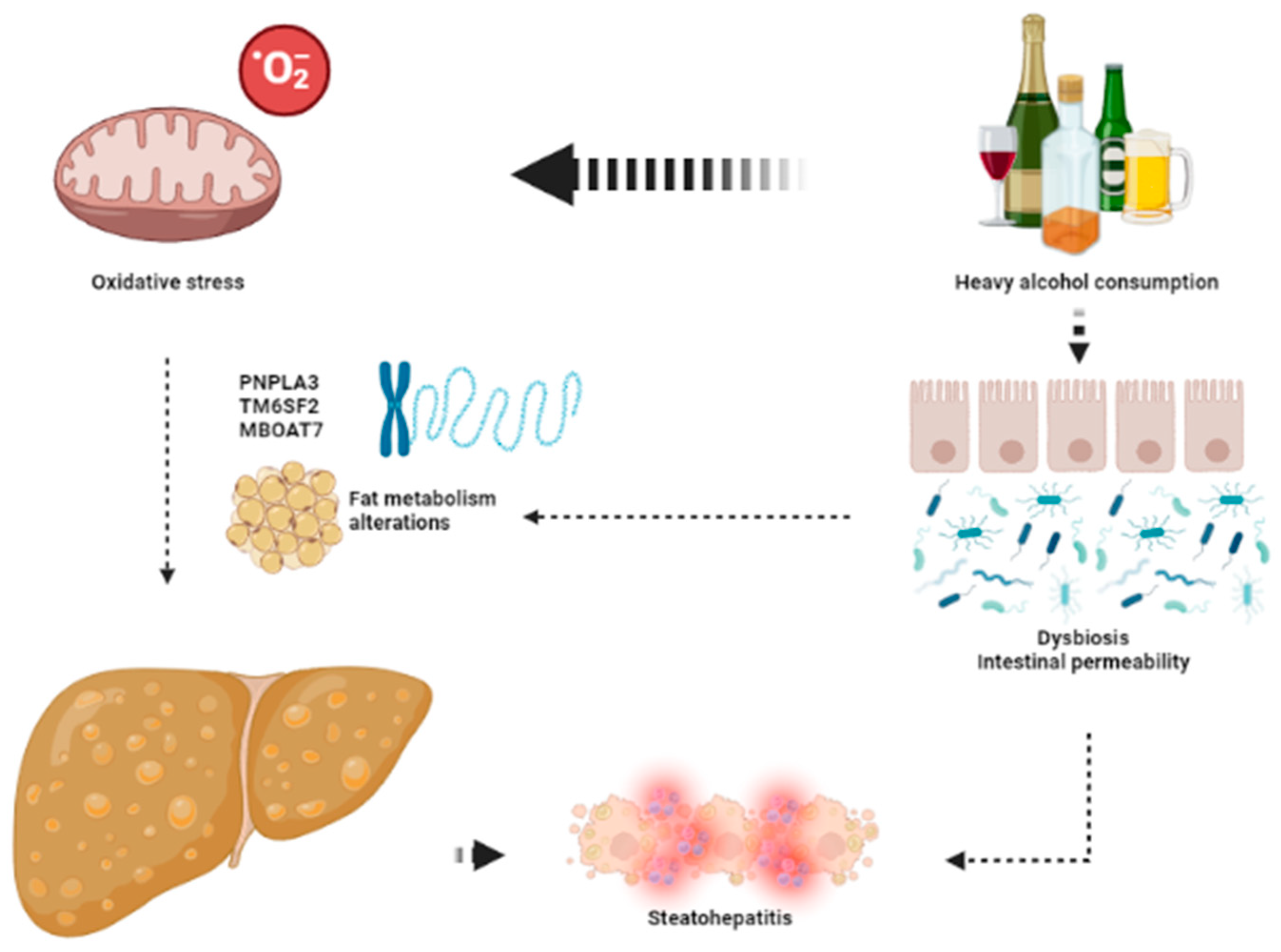 Ijms 24 07791 g002 Ijms 24 07791 g002