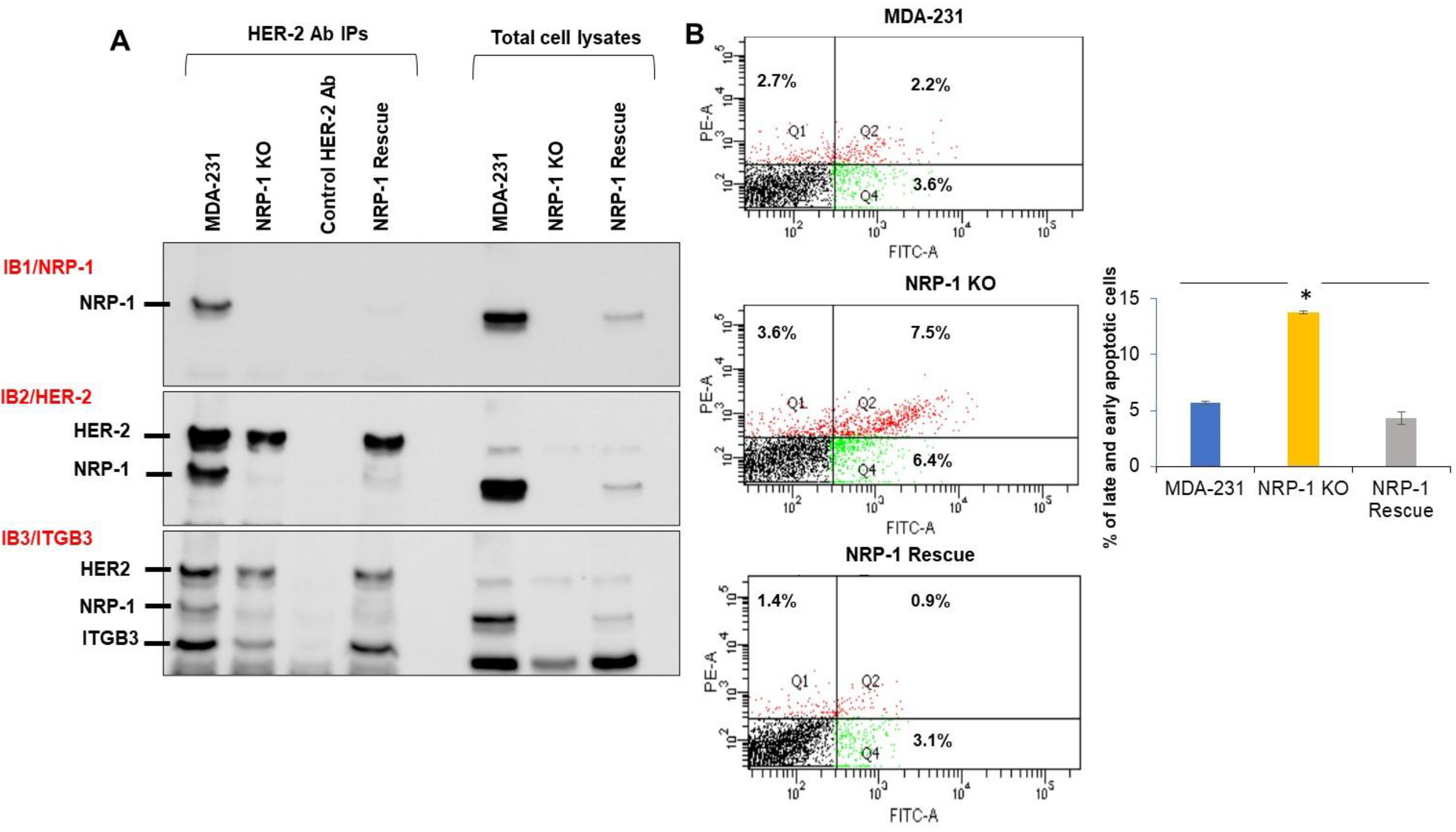 Ijms 24 07792 g003 Ijms 24 07792 g003