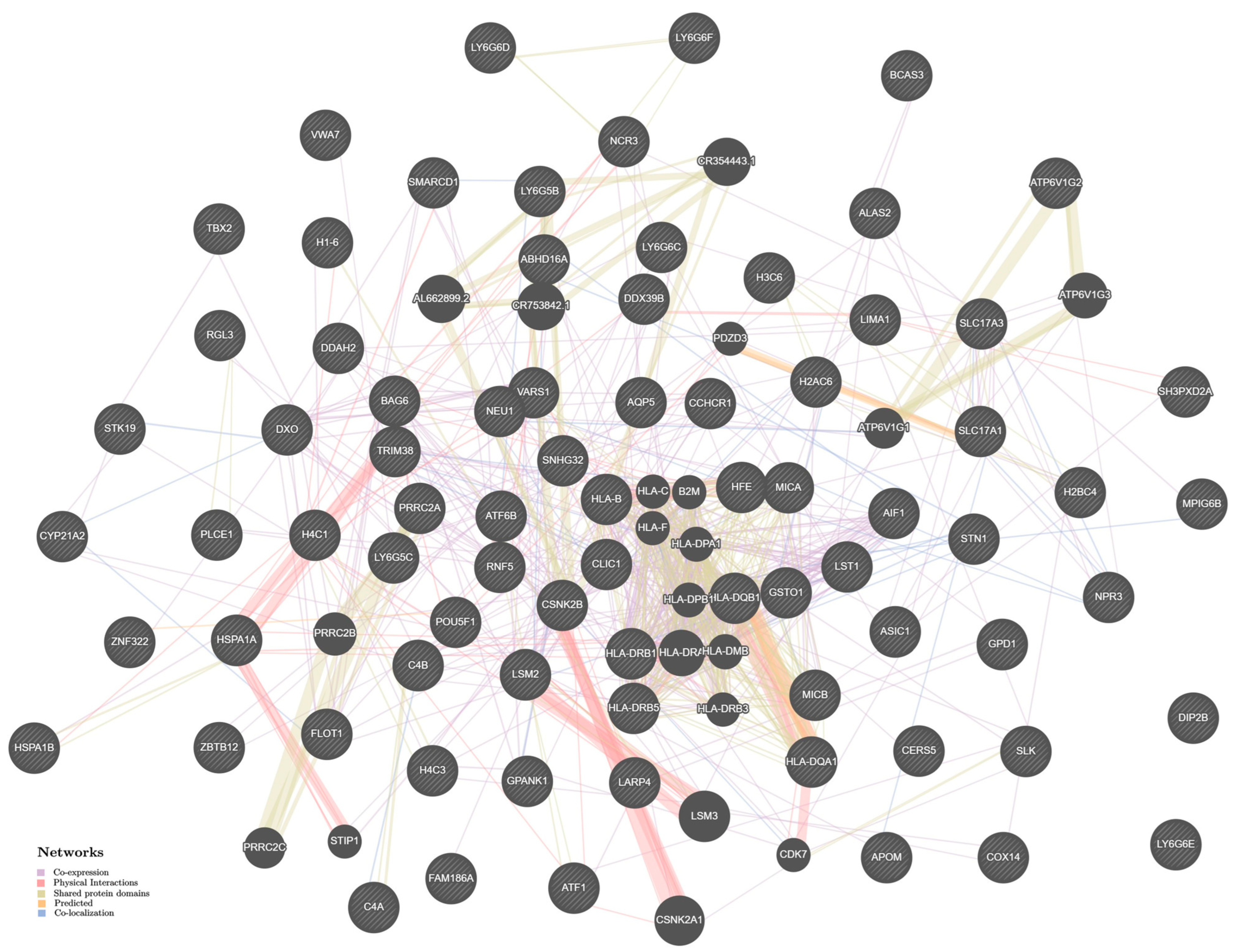 Ijms 24 07799 g003 Ijms 24 07799 g003