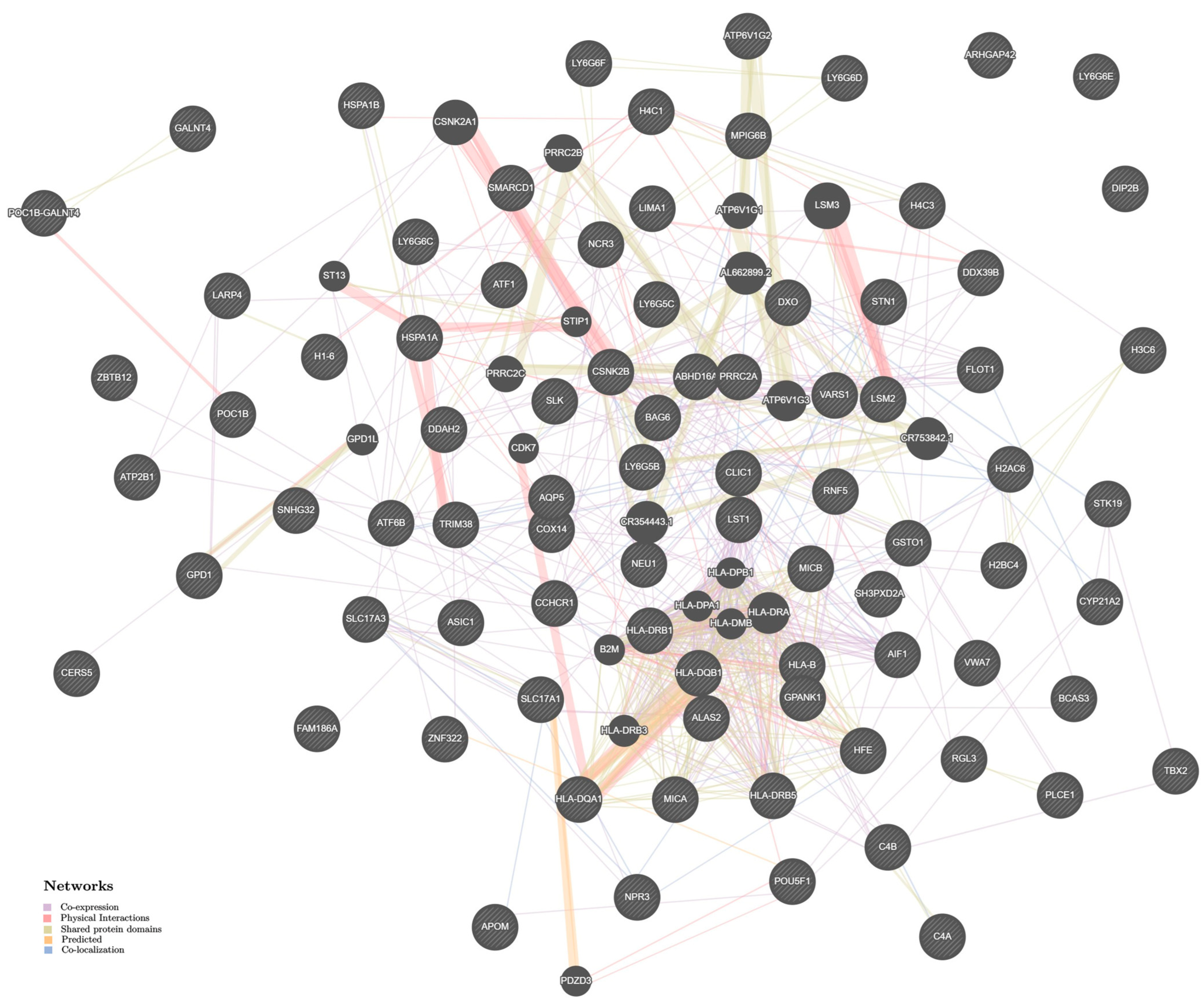 Ijms 24 07799 g004 Ijms 24 07799 g004