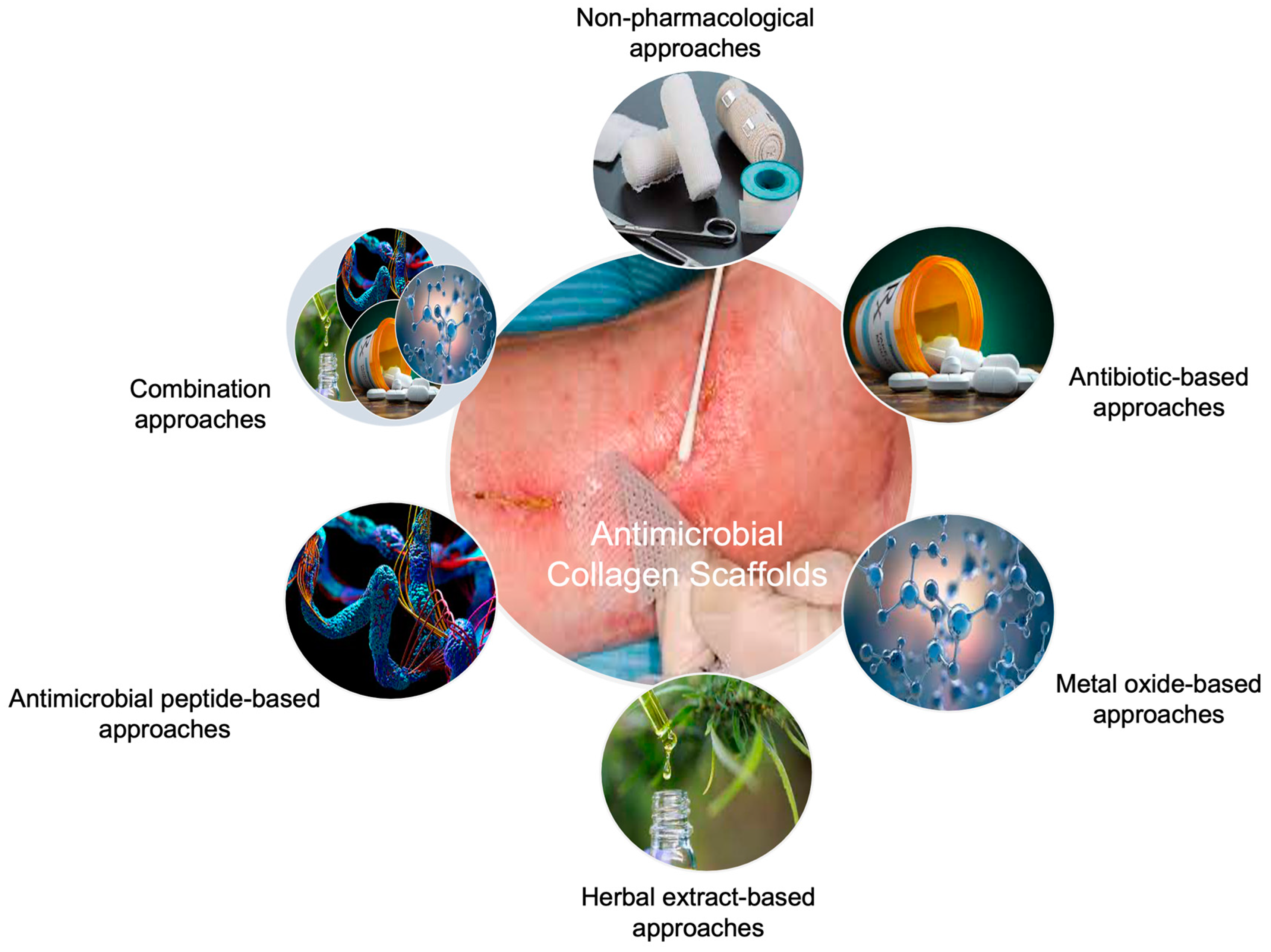 Ijms 24 07808 g002 Ijms 24 07808 g002