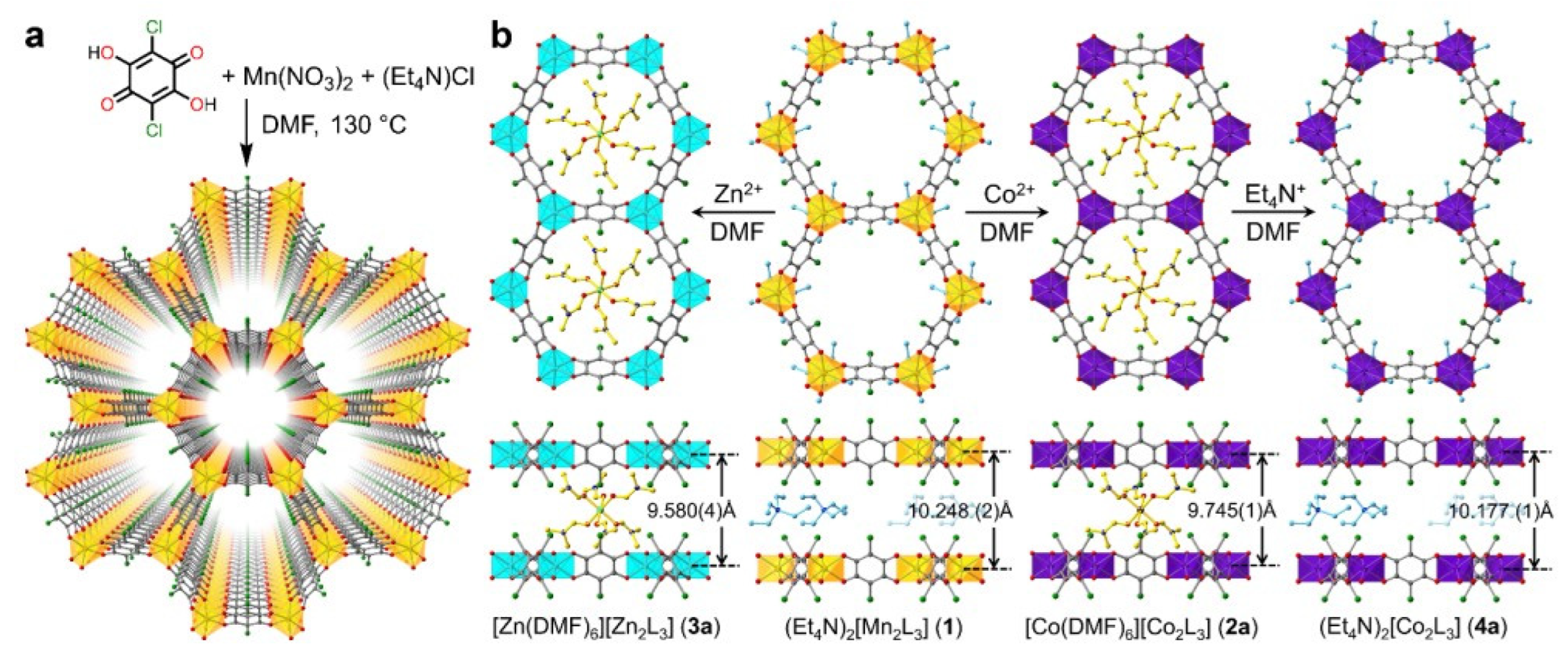 Ijms 24 07819 g004 Ijms 24 07819 g004