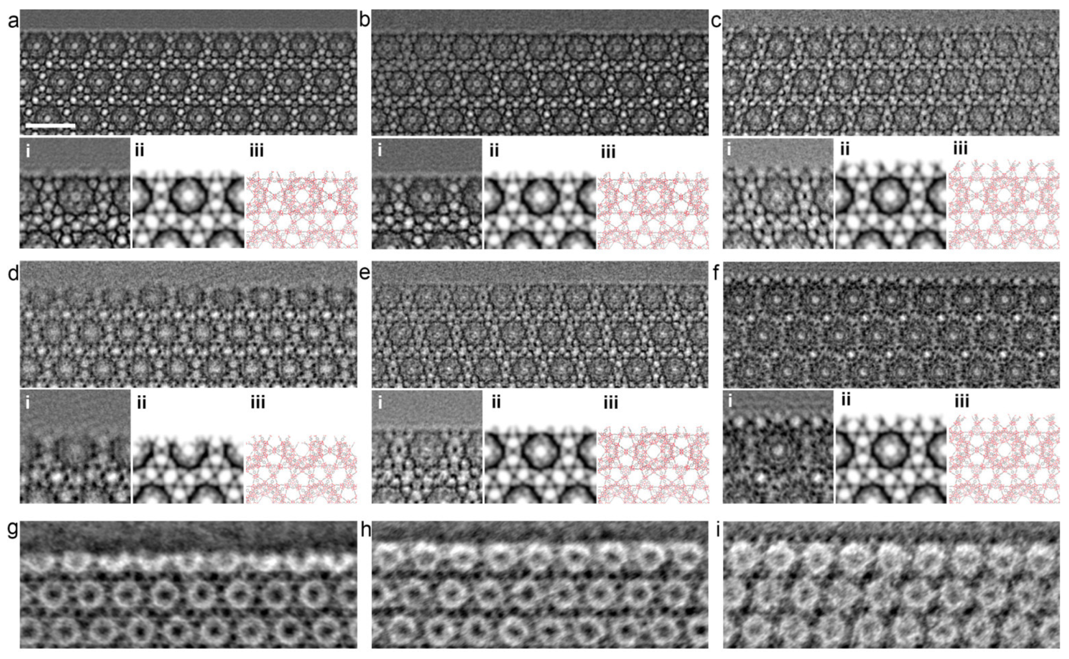 Ijms 24 07819 g007 Ijms 24 07819 g007