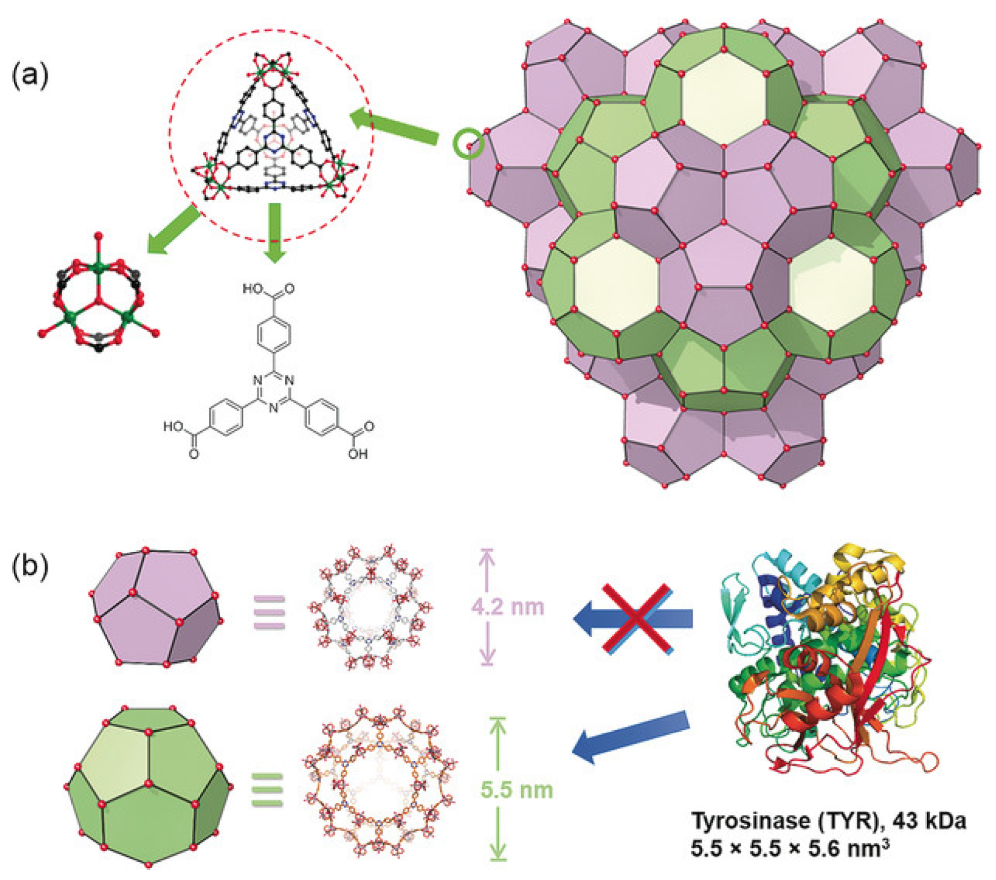 Ijms 24 07819 g010 Ijms 24 07819 g010