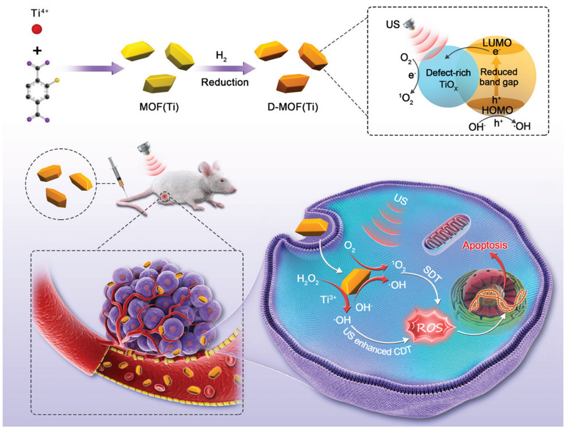 Ijms 24 07819 g011 Ijms 24 07819 g011