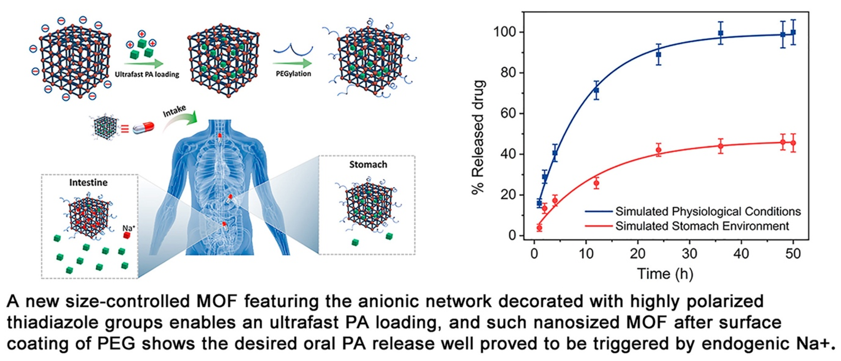 Ijms 24 07819 g013 Ijms 24 07819 g013