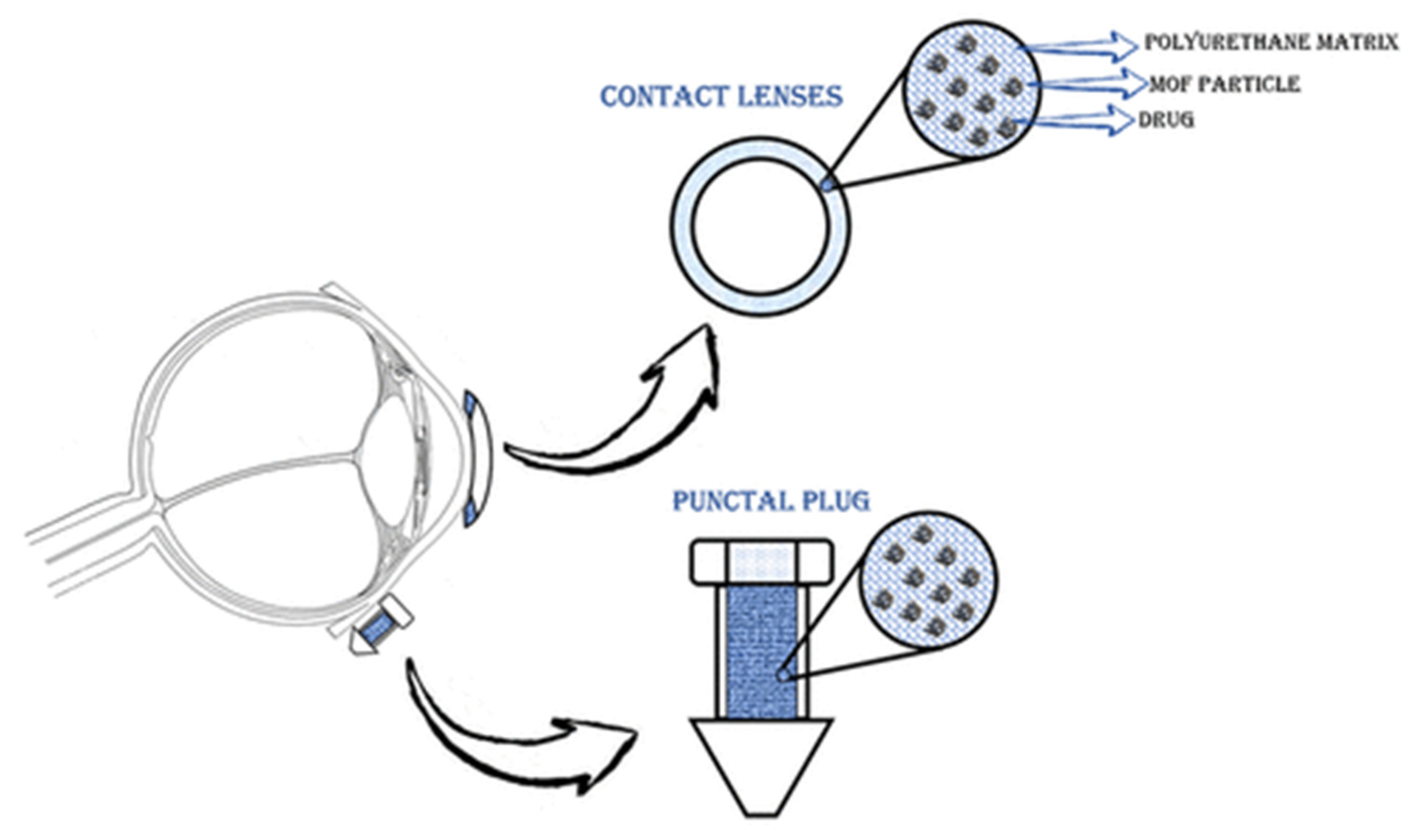 Ijms 24 07819 g014 Ijms 24 07819 g014