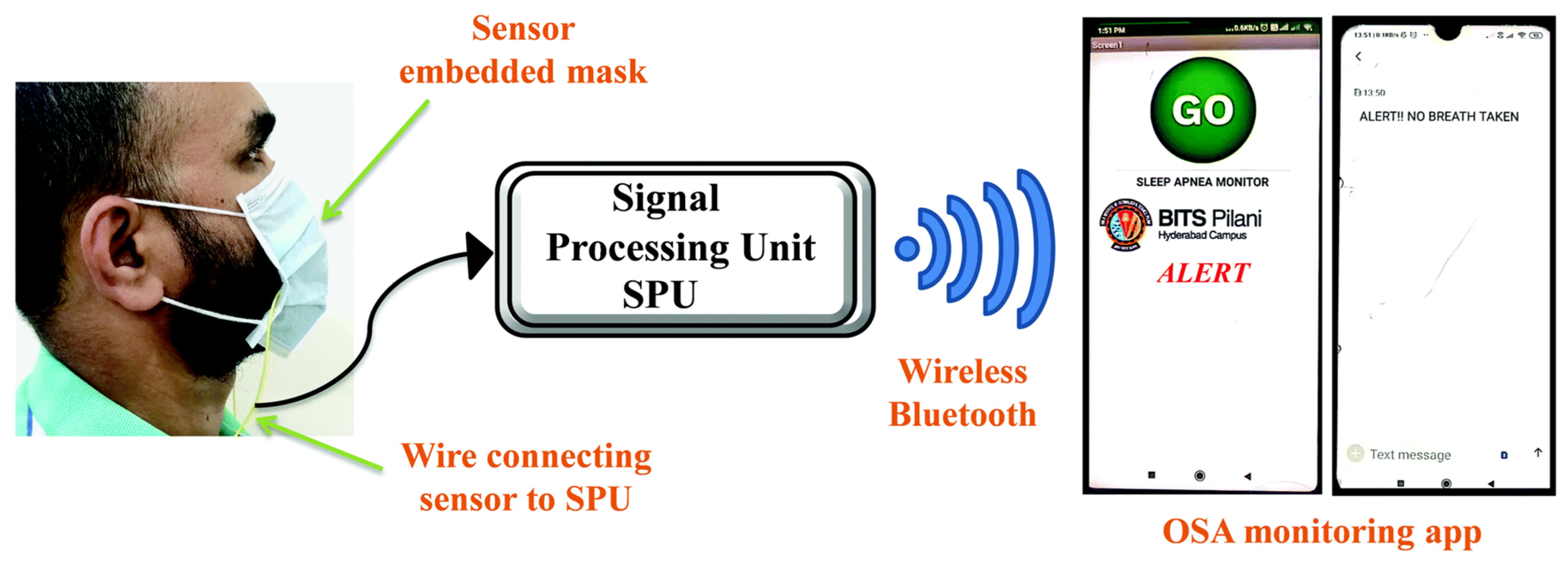 Ijms 24 07819 g016 Ijms 24 07819 g016