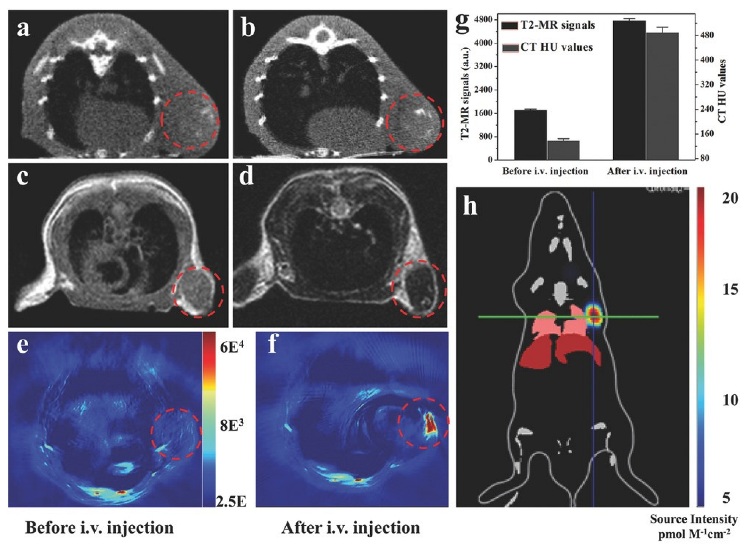 Ijms 24 07819 g017 Ijms 24 07819 g017