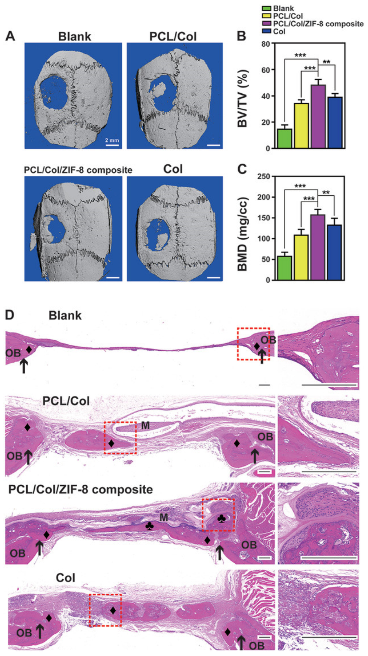 Ijms 24 07819 g019 Ijms 24 07819 g019