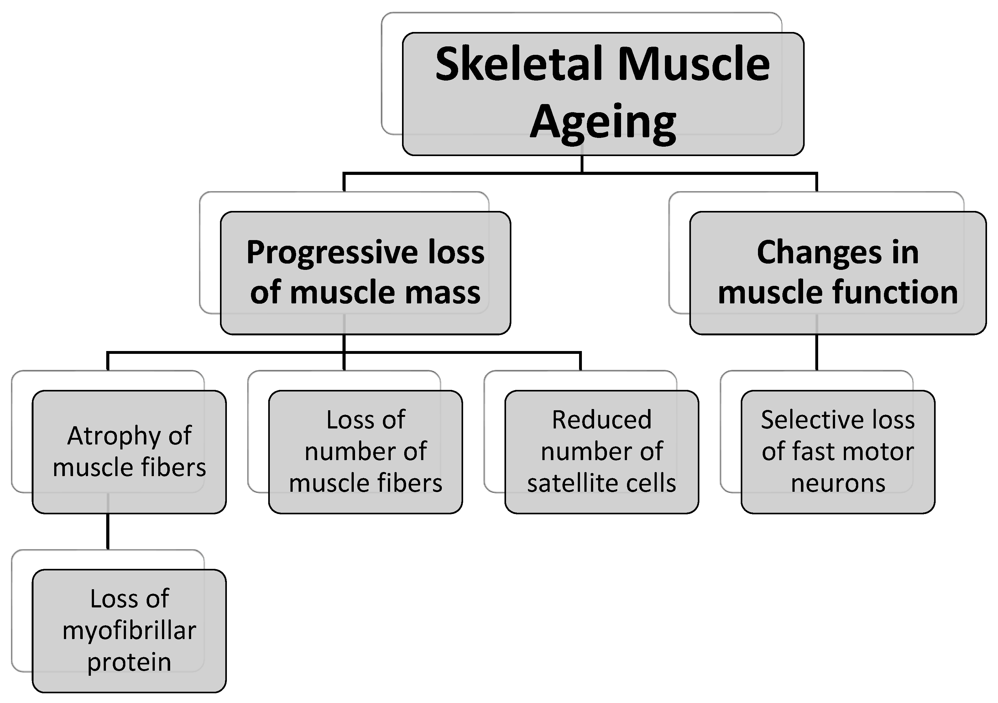 Ijms 24 07833 g002 Ijms 24 07833 g002