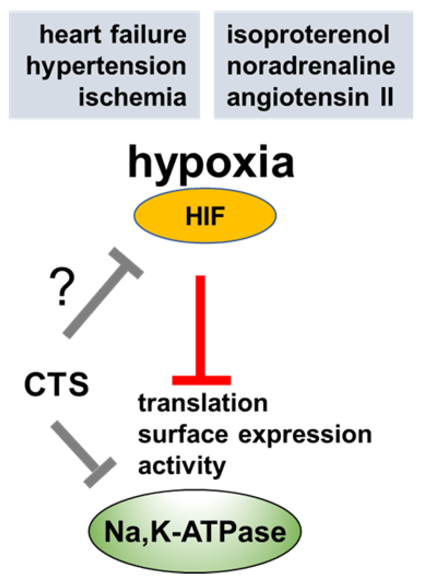 Ijms 24 07855 g003 Ijms 24 07855 g003