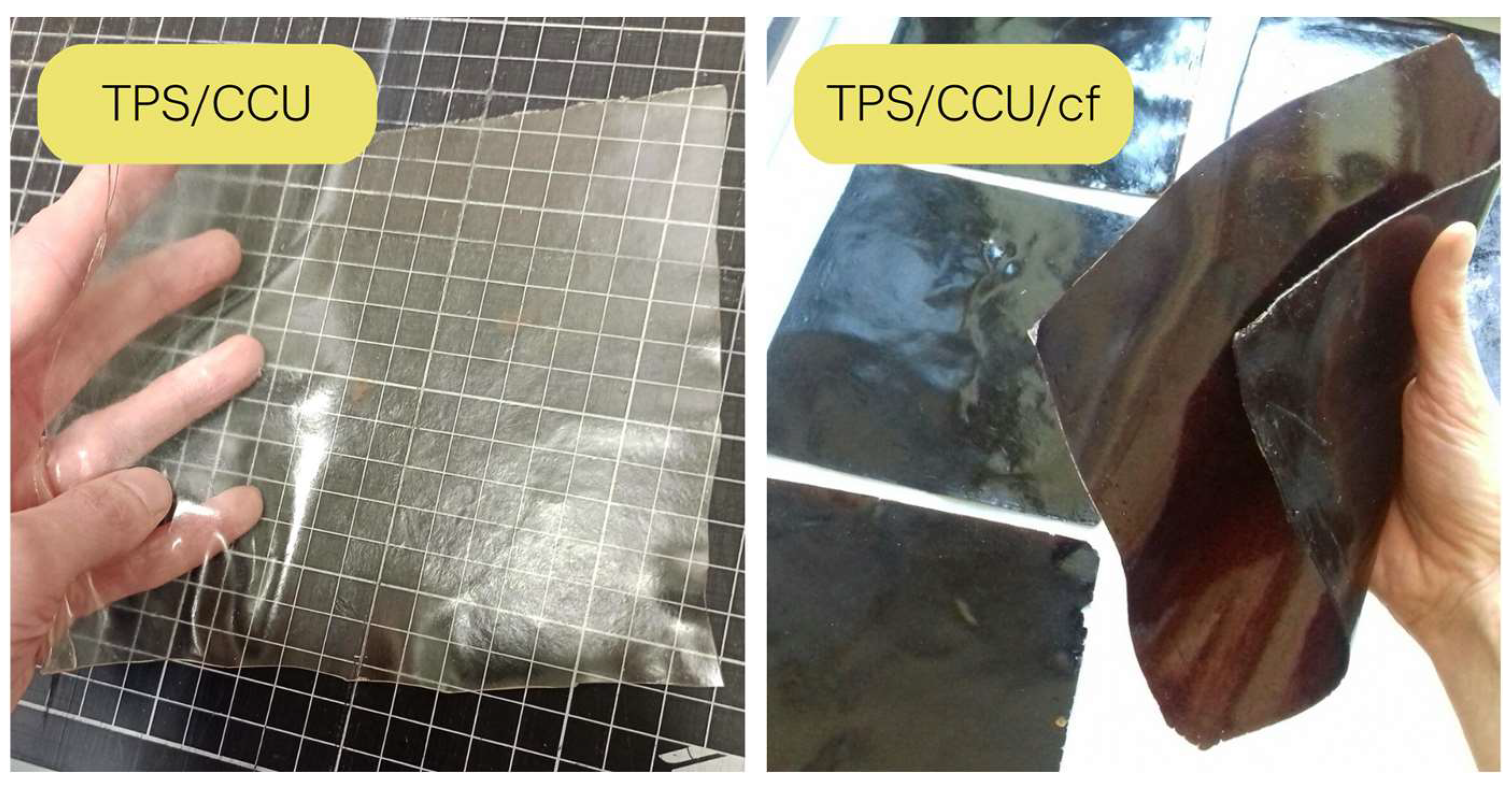 Ijms 24 07864 sch001