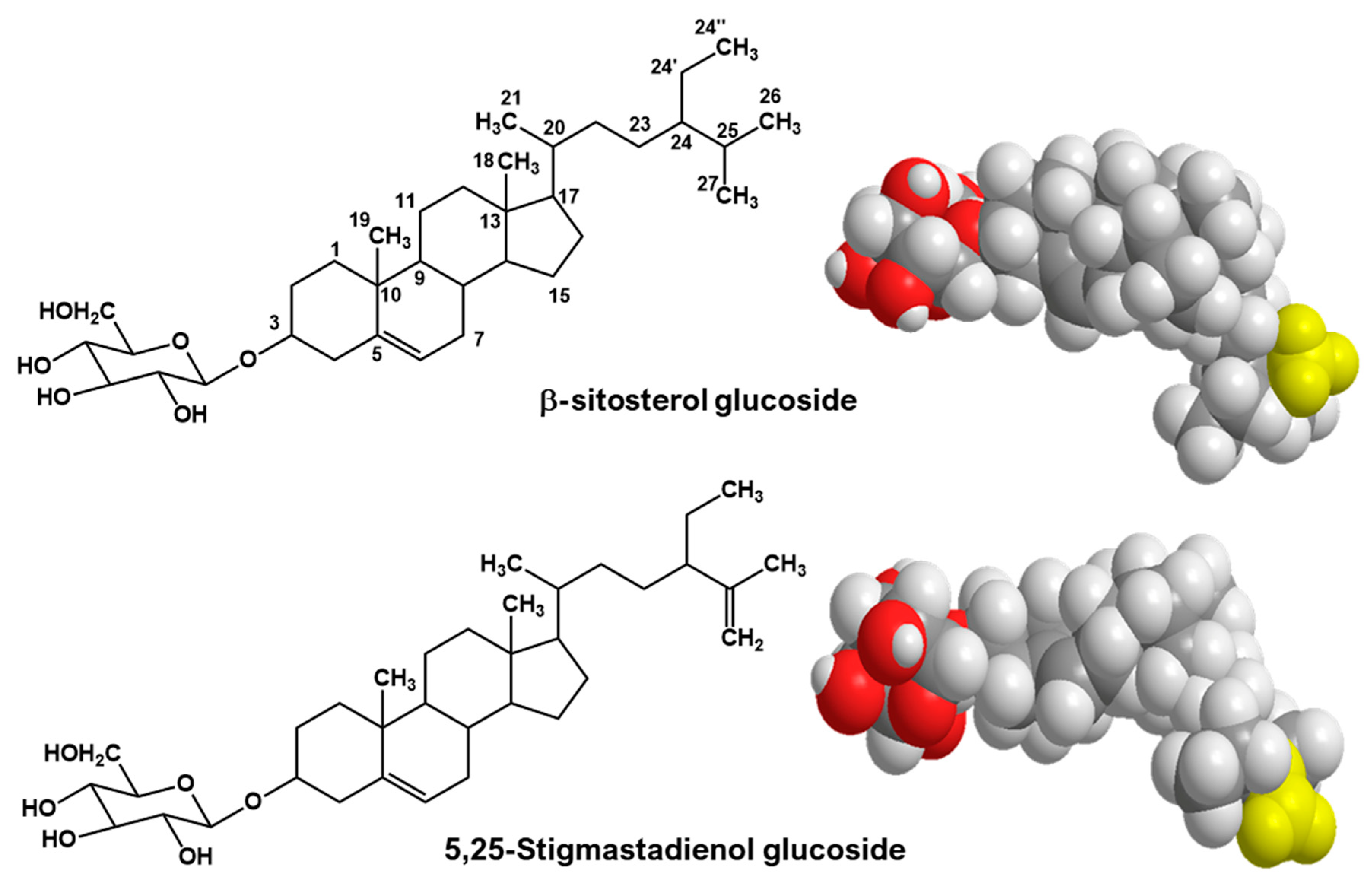 Ijms 24 07870 g001 Ijms 24 07870 g001